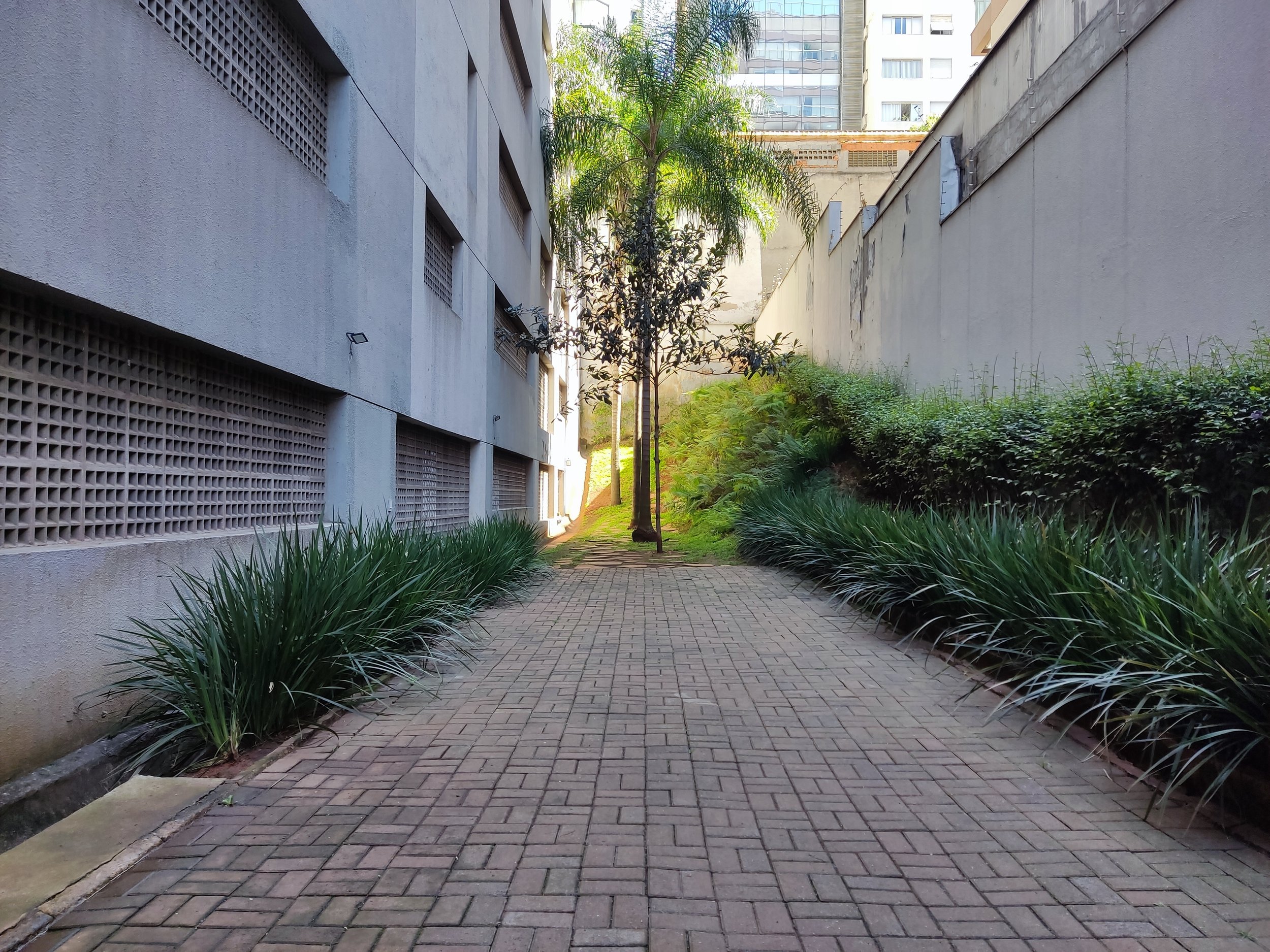 Caminho de estacionamento com calçada de tijolos, cercado por arbustos e árvores, entre edifícios altos