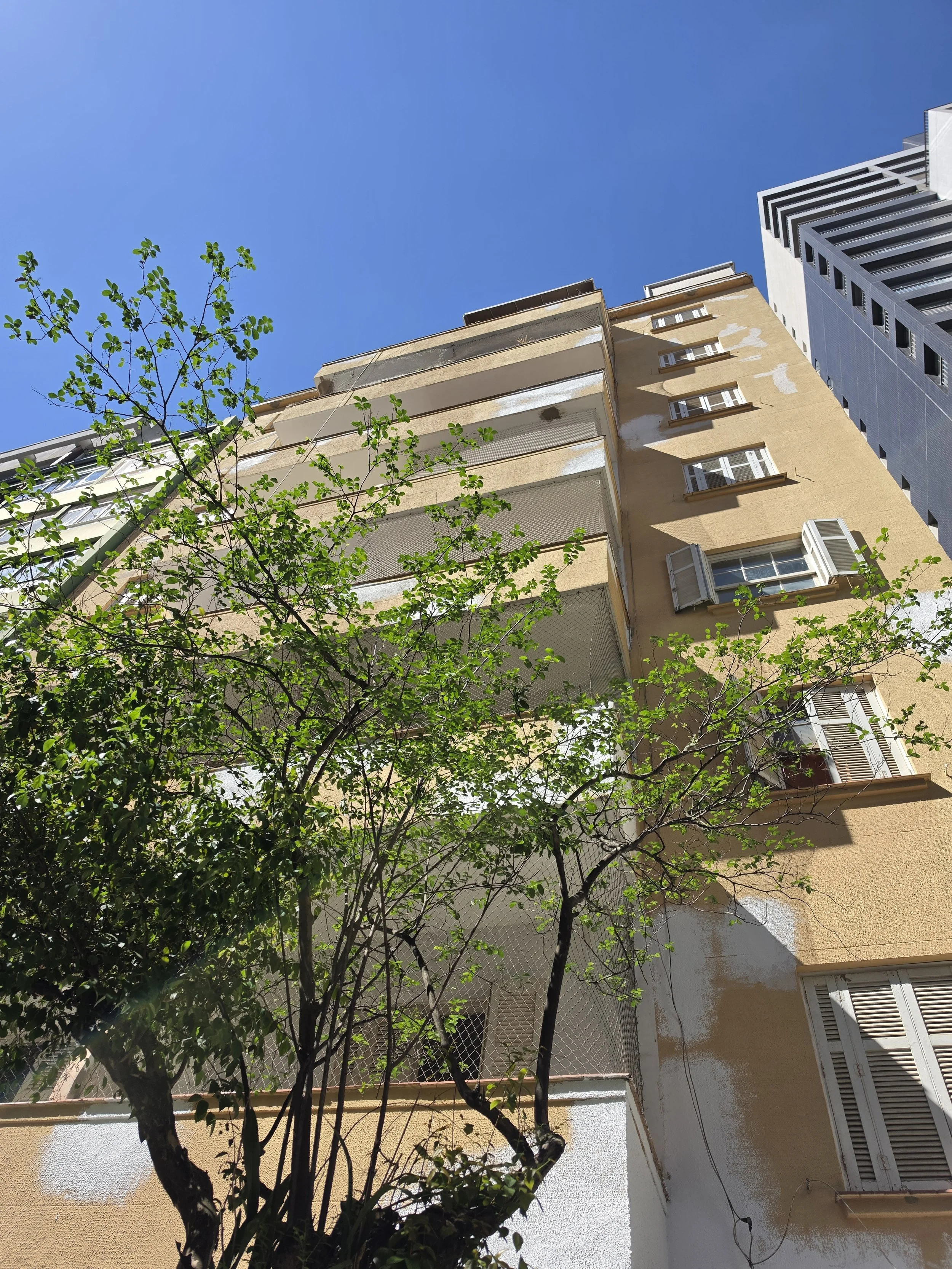 LAR 032_26.jpg