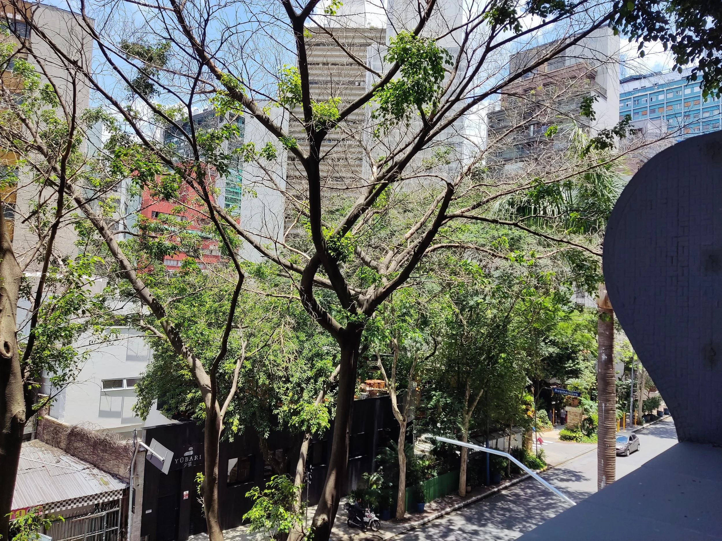 Vista de rua com árvores e prédios ao fundo, com céu ensolarado.