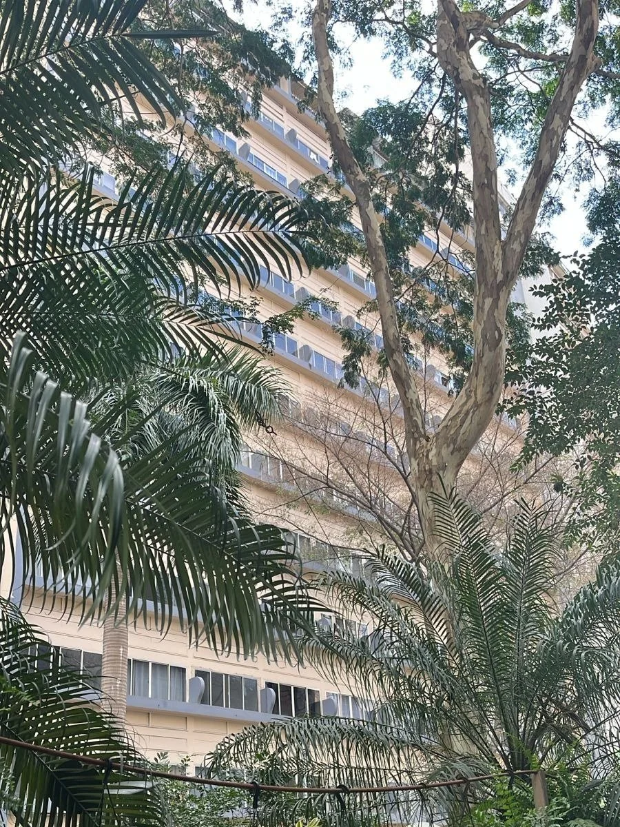 Árvore grande com várias folhas verdes ao lado de um edifício de vários andares, com janelas e varandas. Vegetação densa na frente.