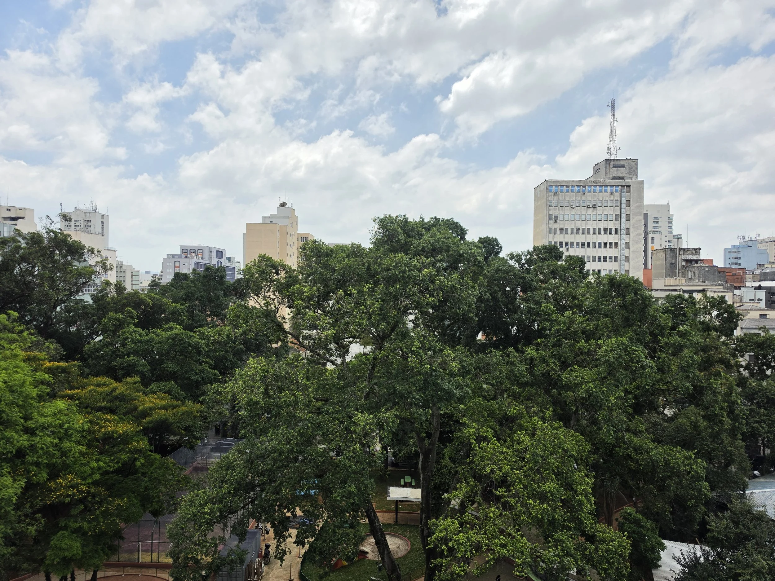 LAR 033_05.jpg