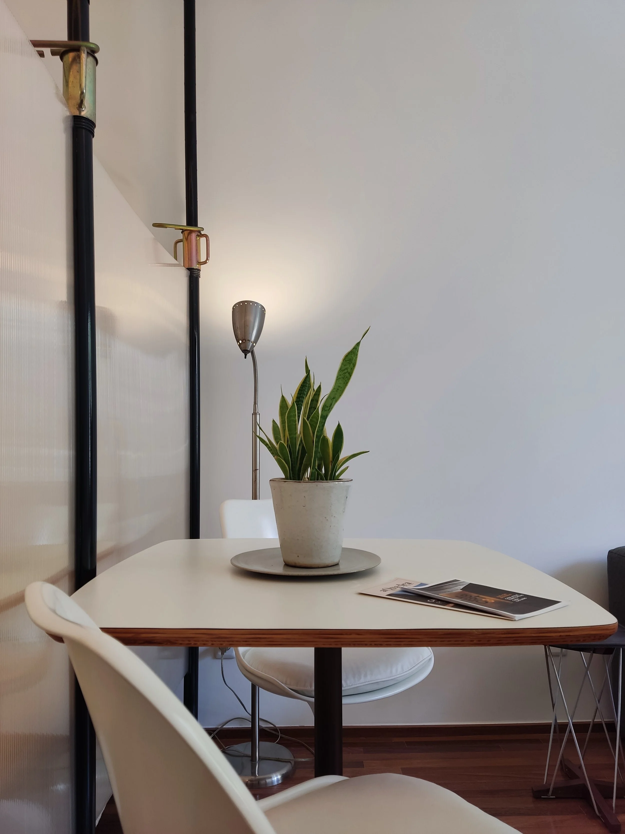 Mesa de jantar com vaso de plantas e revistas, na sala de estar moderna com parede branca e iluminação suave.