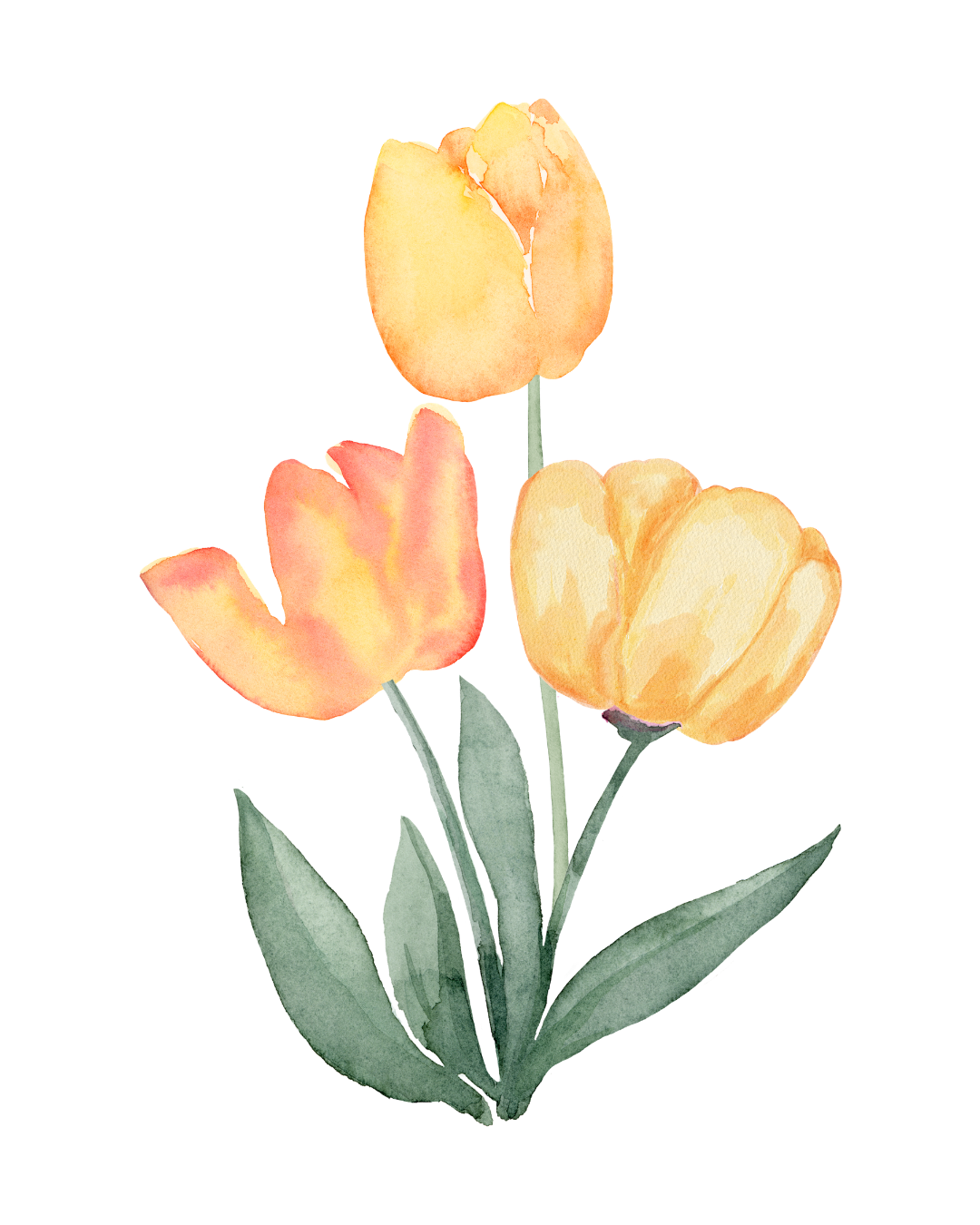 therapy in amsterdam and online