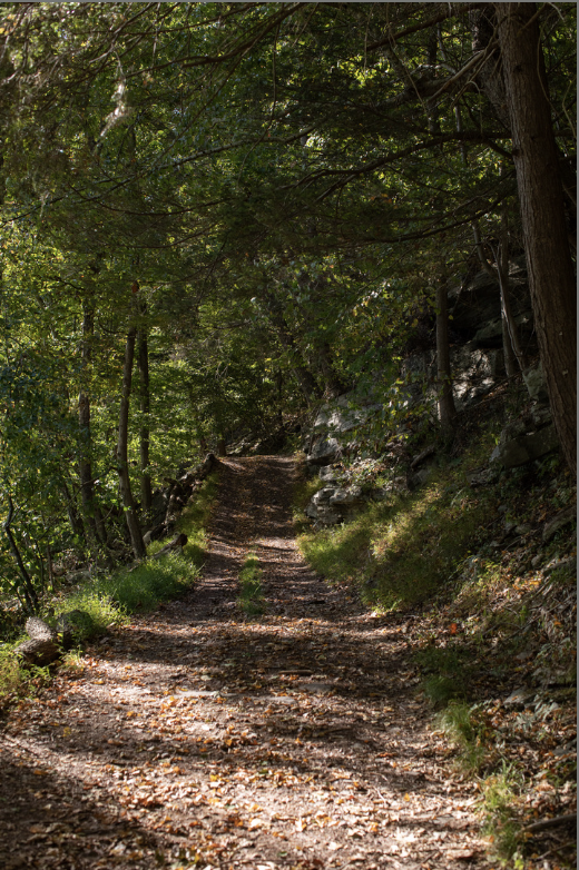 Screenshot 2025-11-30 at 8.09.58 AM.png