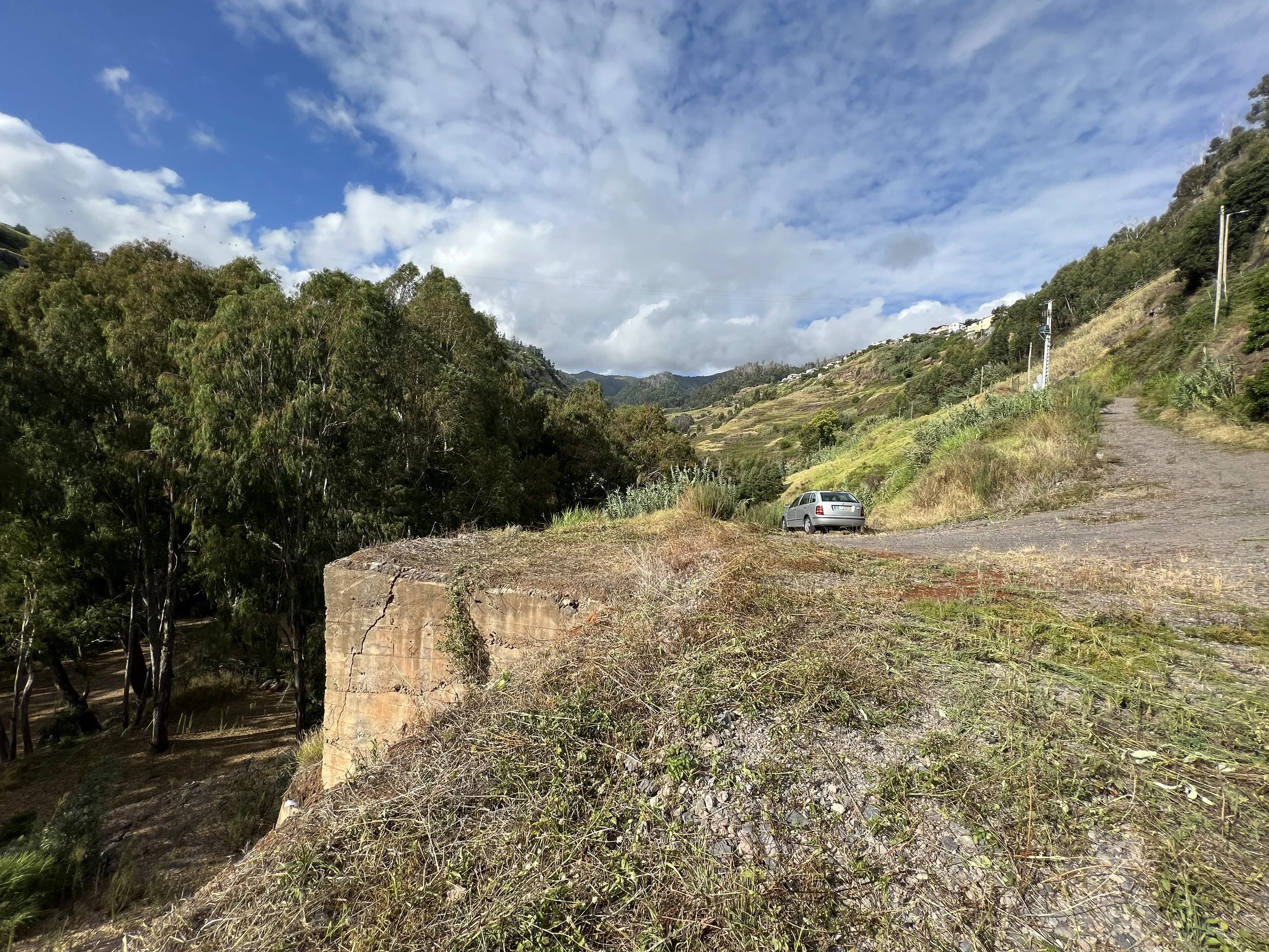 A hilly landscape with a partly cloudy sky, trees on the hillside, a parked gray car, and a dirt road trampling through grass and bushes.