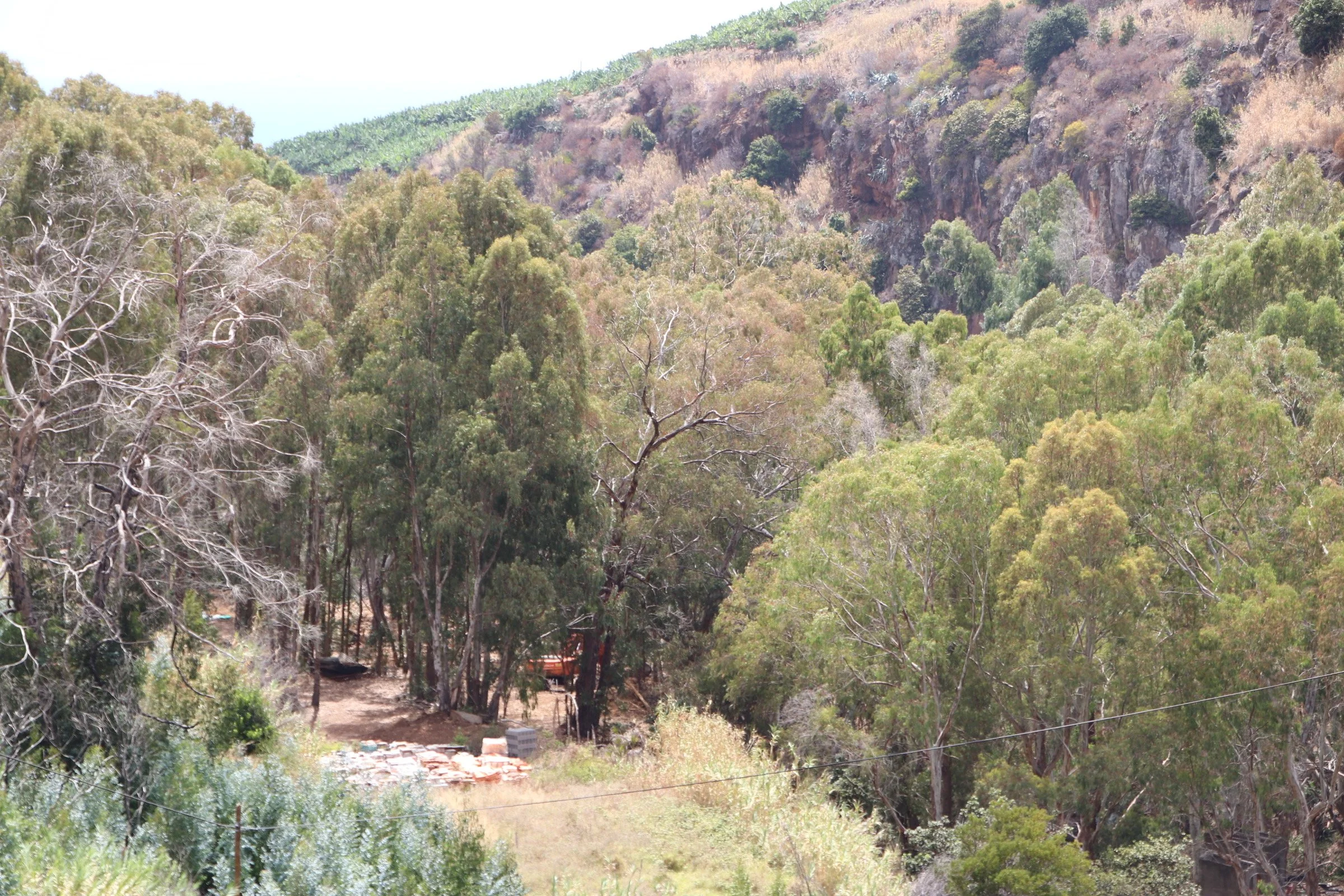Lush green trees and shrubbery in a hilly landscape with a dirt path and some construction materials in the foreground.