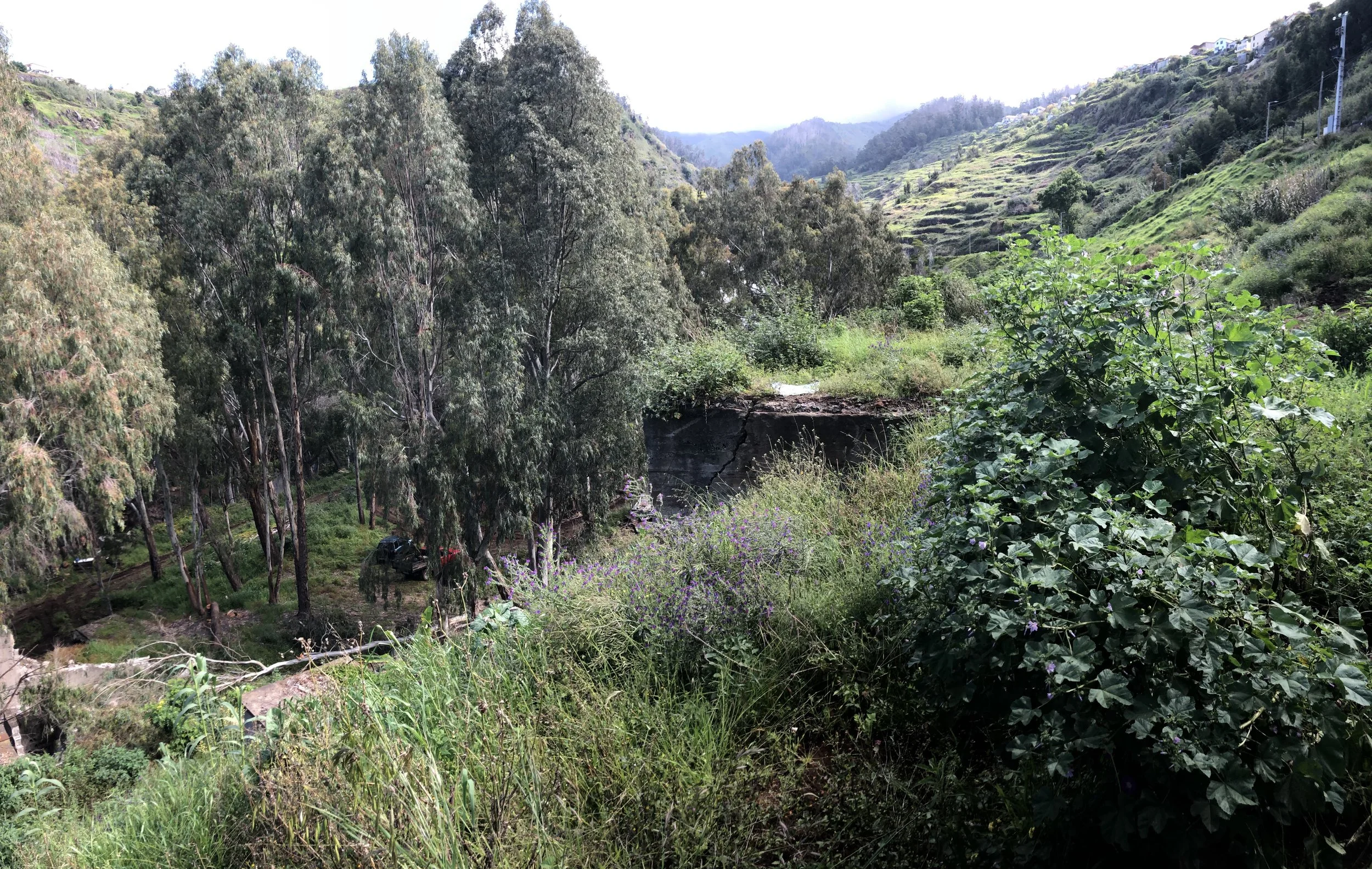 Green landscape with trees on a hillside, some cars parked among the trees, and terraced fields on the distant hills under a cloudy sky.