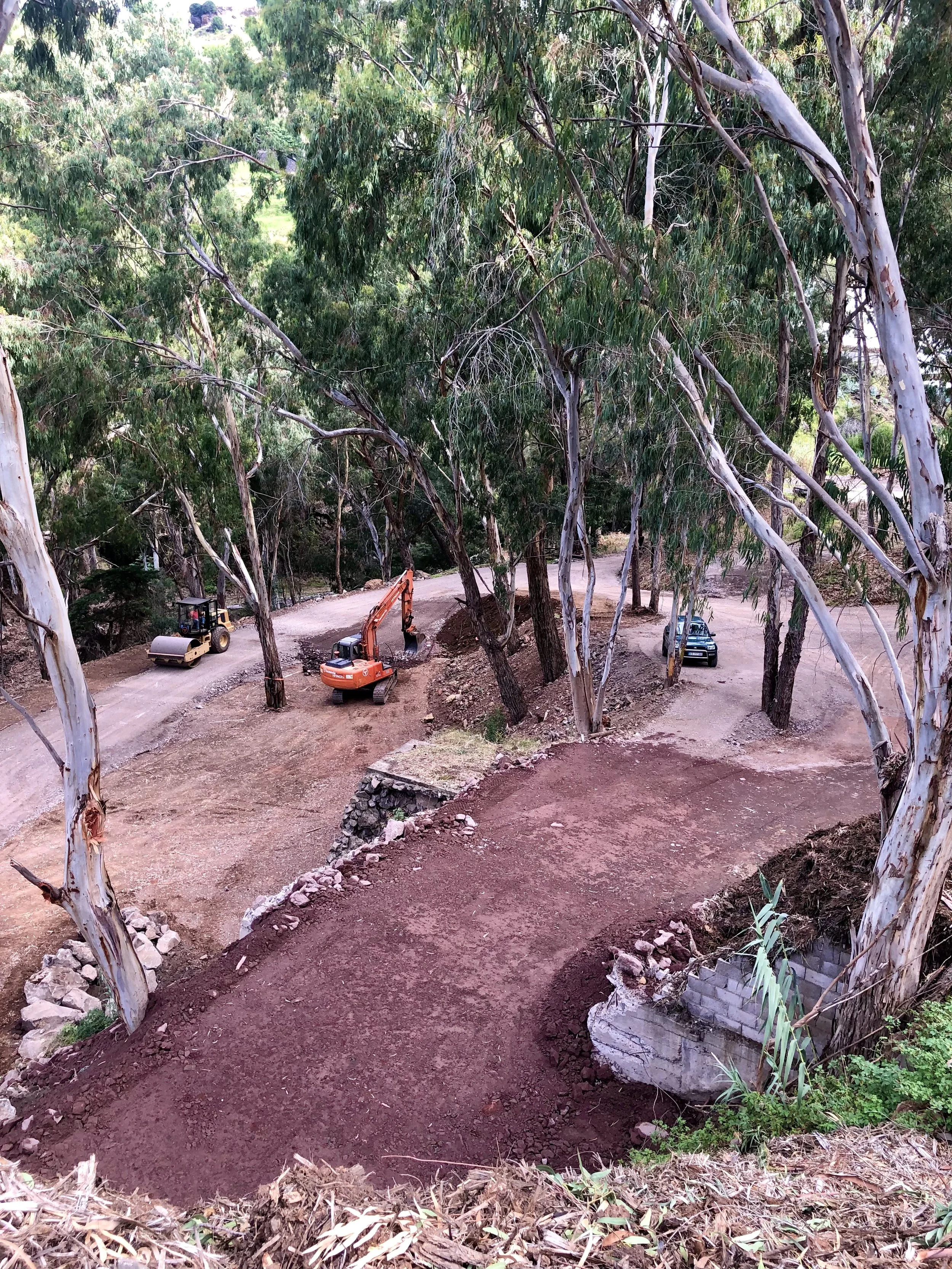 Construction site on a dirt road with machinery and a car, surrounded by tall eucalyptus trees.