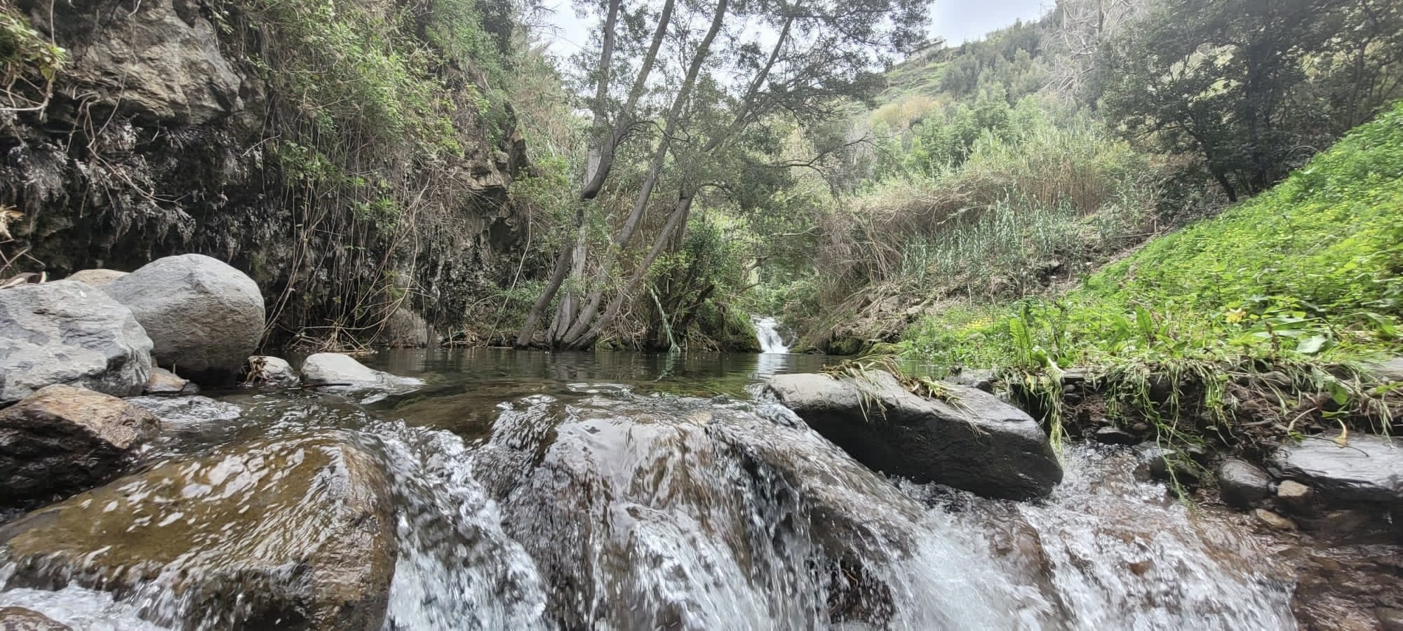 A natural river scene with clear water flowing over rocks, surrounded by green foliage and trees on a hillside.
