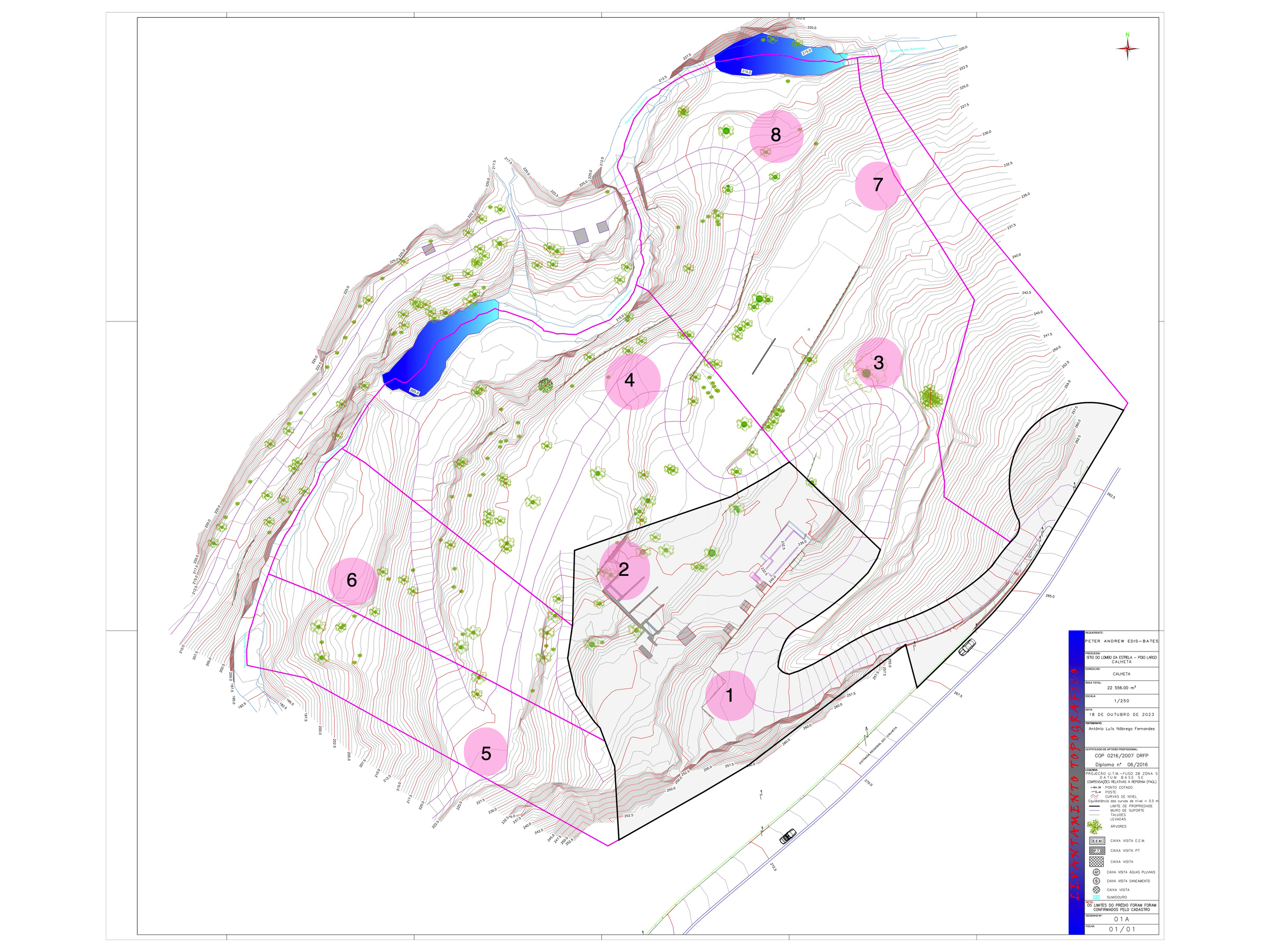 Topographical map of a landscape with contour lines, labeled areas, water bodies, and trees, indicating land features and plot boundaries.