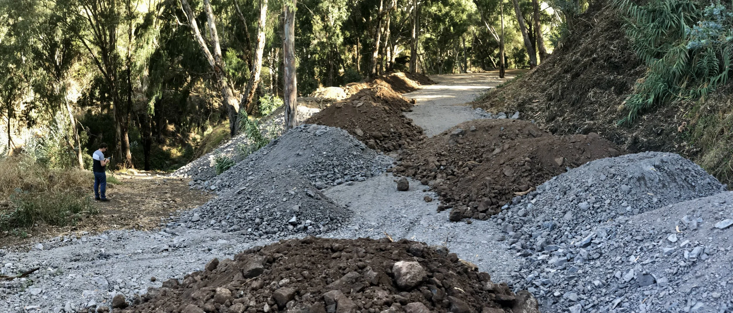 A man stands on a dirt pathway in a wooded area, next to several piles of dirt and gravel, with trees and a winding dirt road in the background.