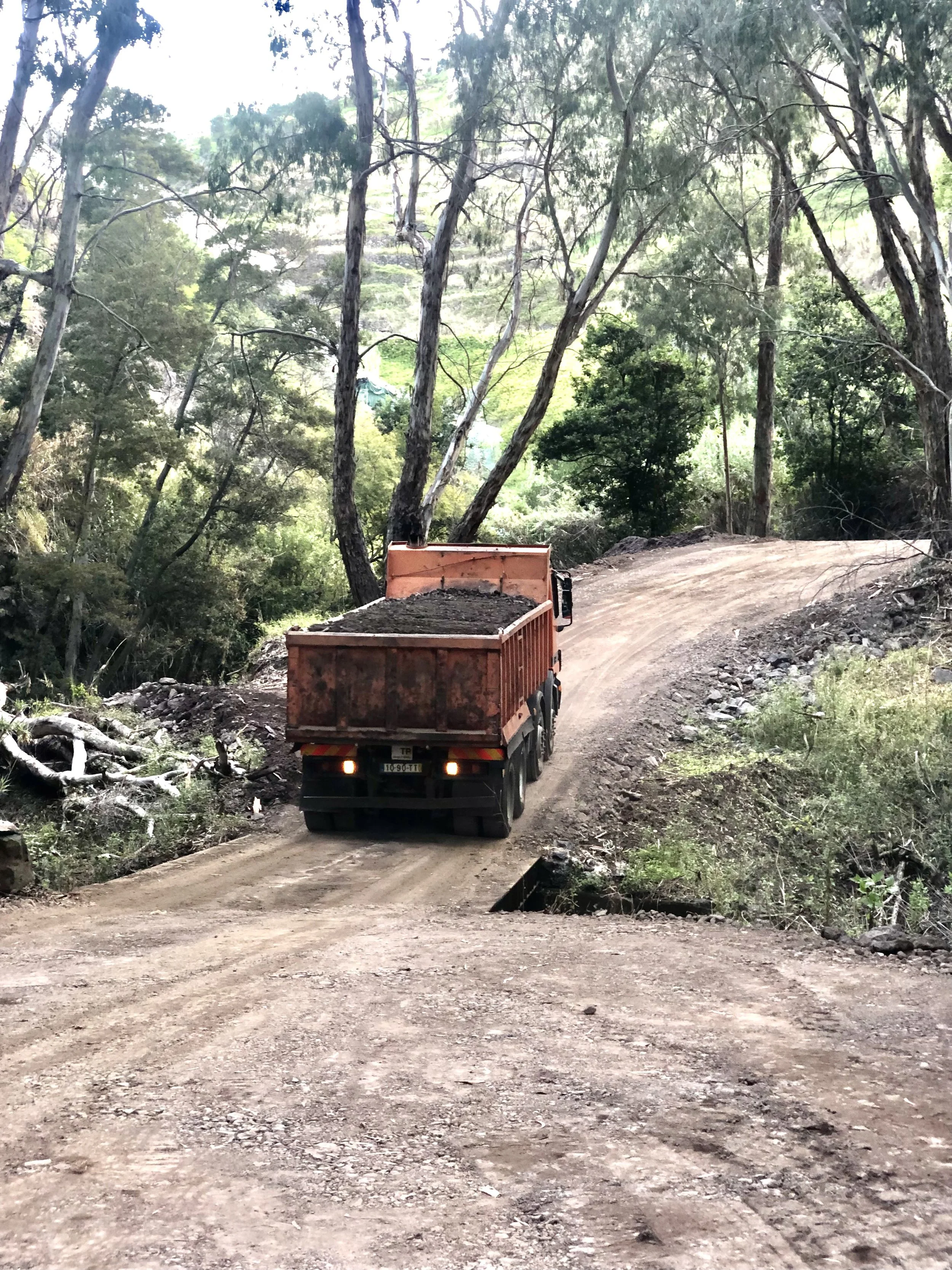 A dump truck driving up a dirt road through a forested area with tall trees and green foliage.