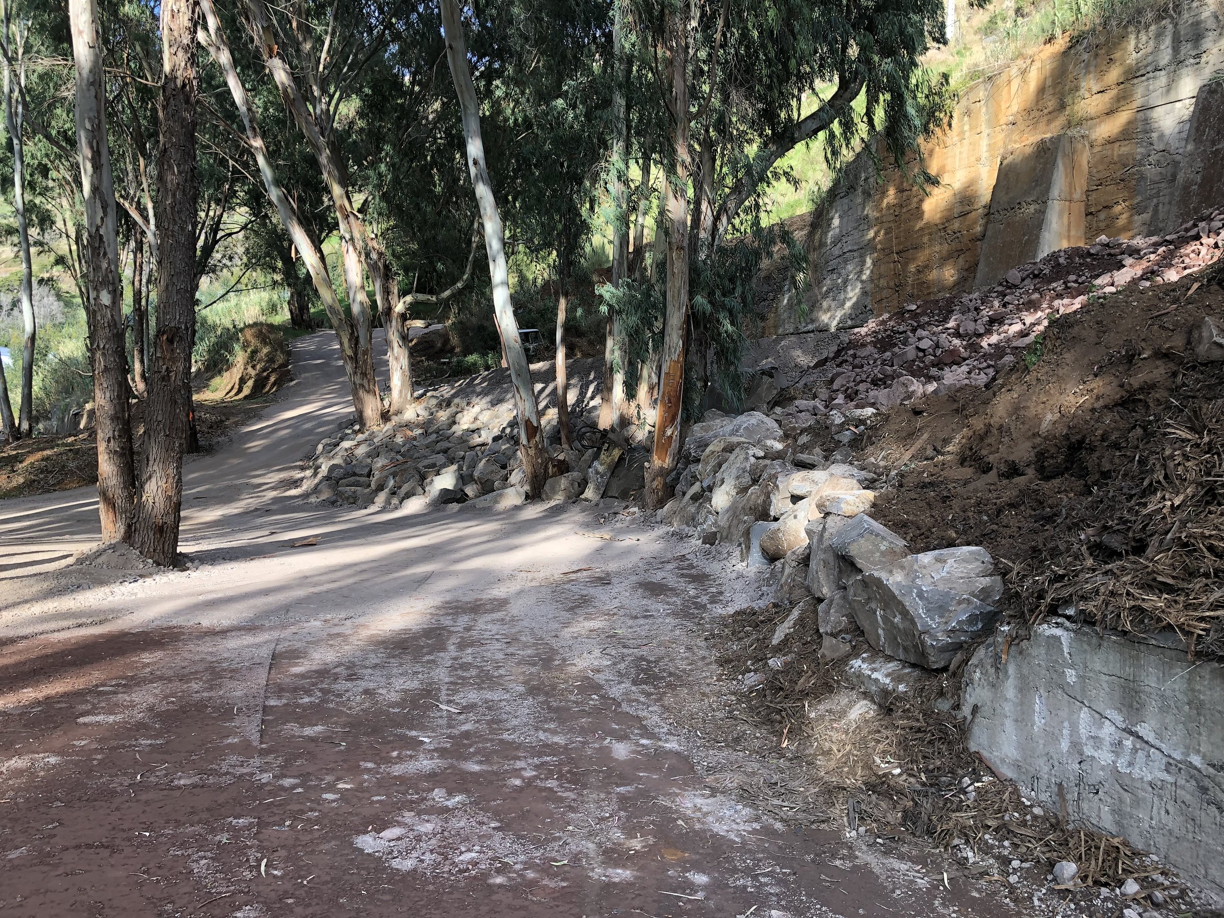 A dirt hiking trail winding through a forest with tall trees and rocky terrain on the side.