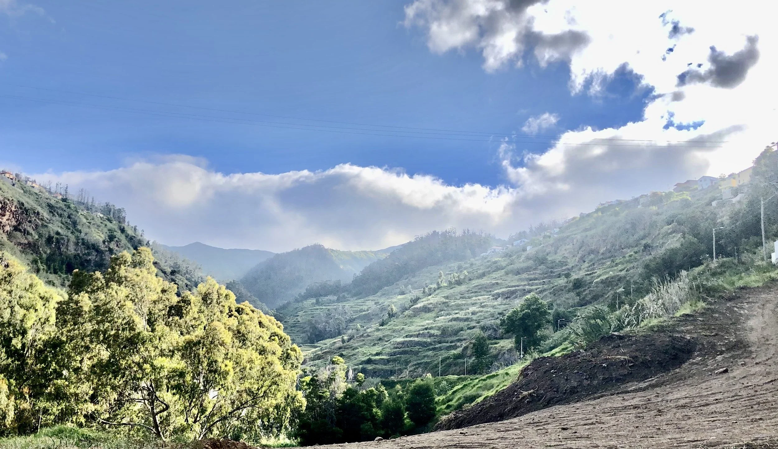 Hillside landscape with lush green trees, layered terraced fields, and a dirt path, under a partly cloudy blue sky with sunlight.