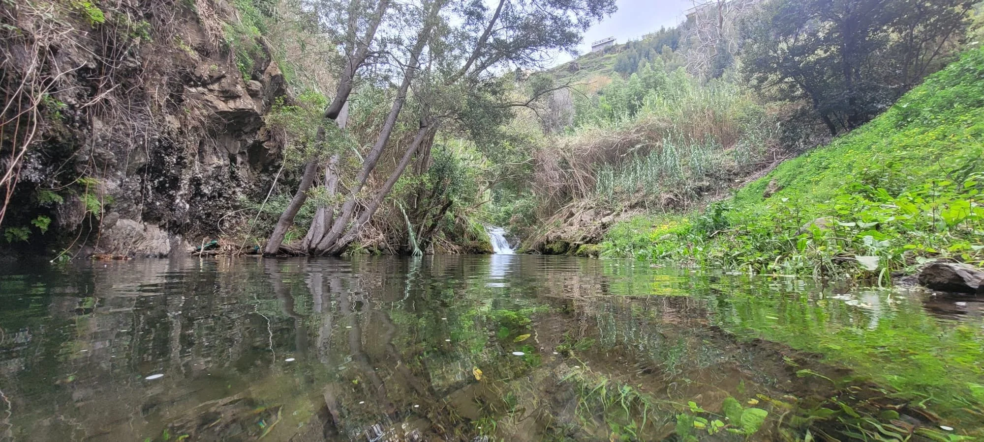 A small waterfall flows into a calm river surrounded by green plants and trees on a hillside.