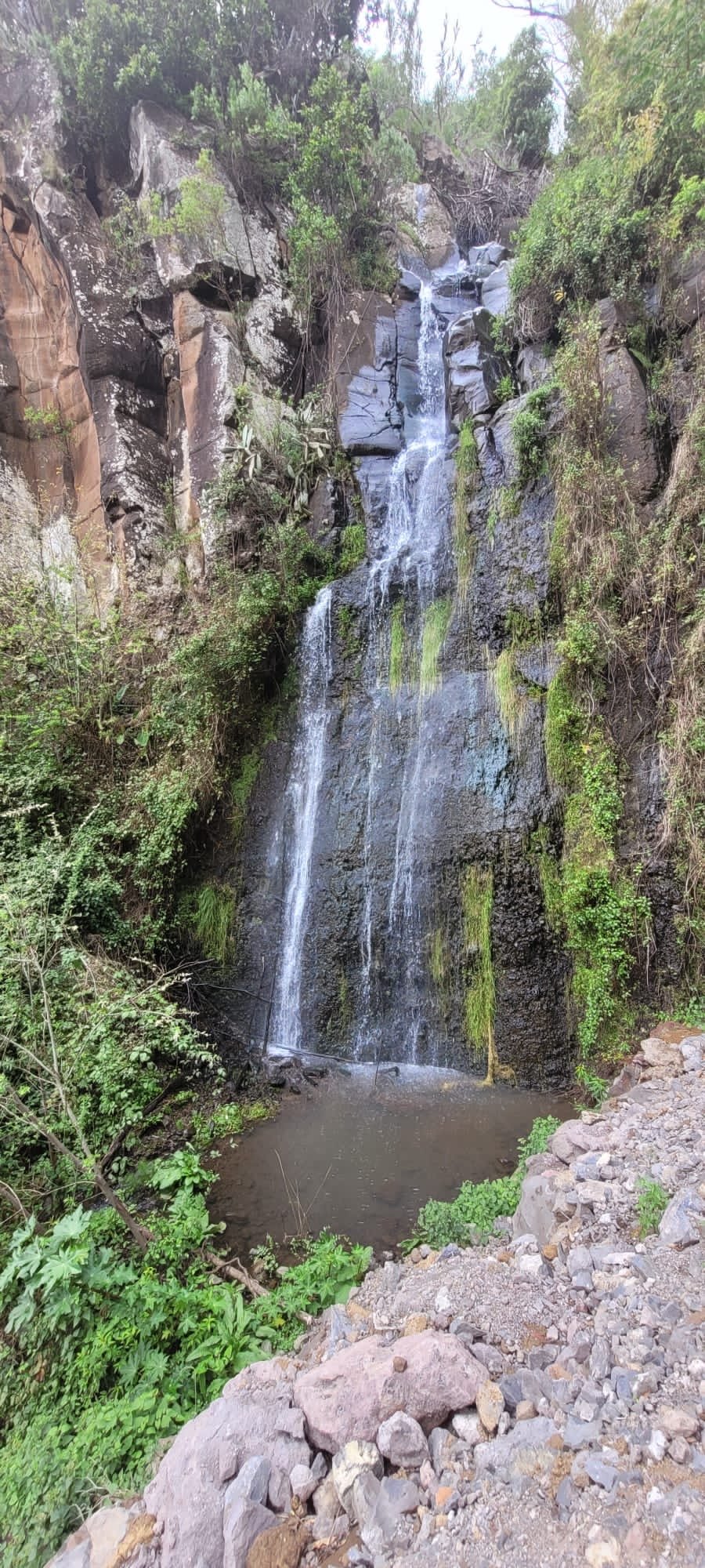 A small waterfall flowing down a rocky cliff into a shallow pool surrounded by lush green vegetation and rocks.