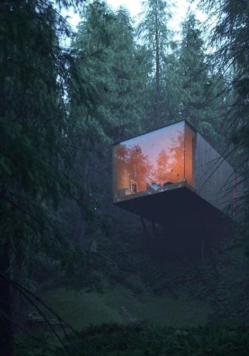 A modern house built on stilts in a dense forest with tall trees, featuring reflective glass walls reflecting the orange sky.