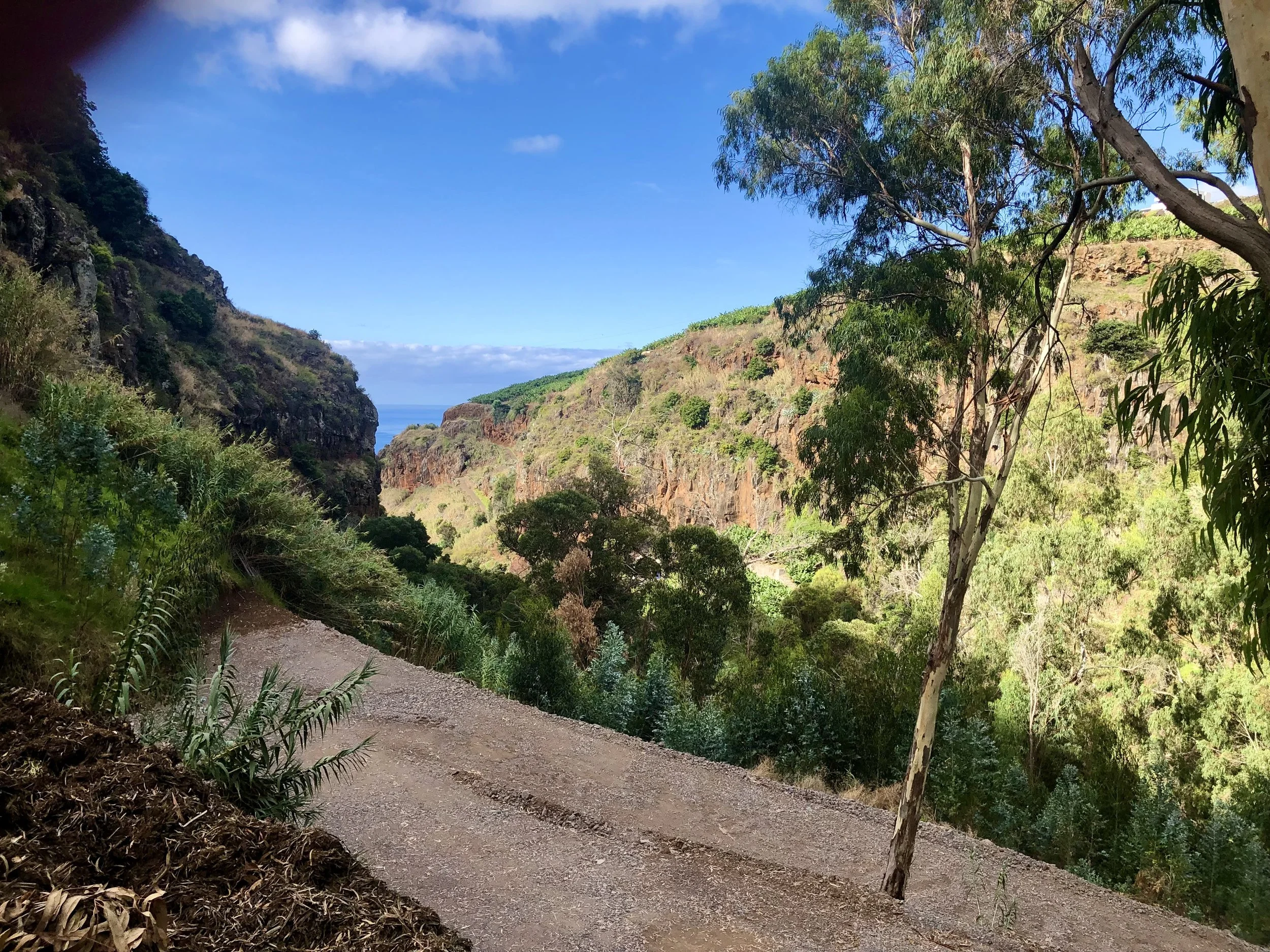 A dirt trail winding through a lush green valley with cliffs on either side, trees, and a blue sky with some clouds in the background.