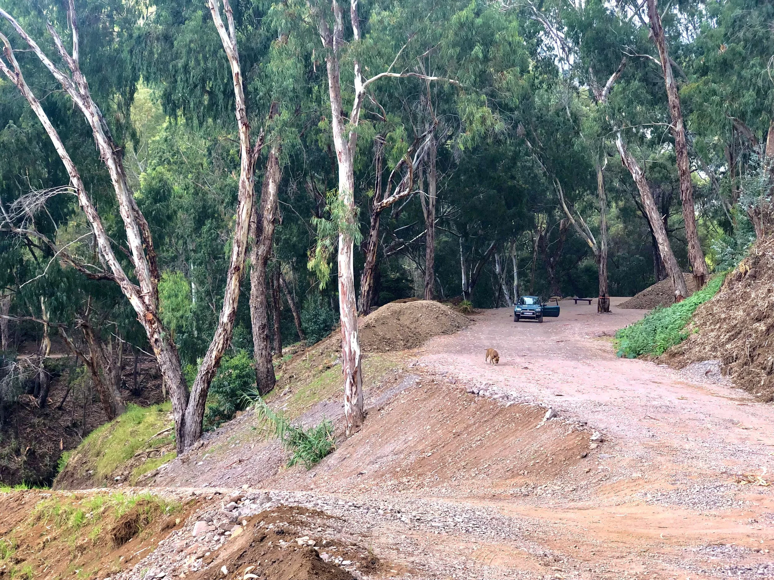 A dirt road in a wooded area with tall trees and a car parked with its door open. A small dog is walking along the road, and a bench is visible in the background.