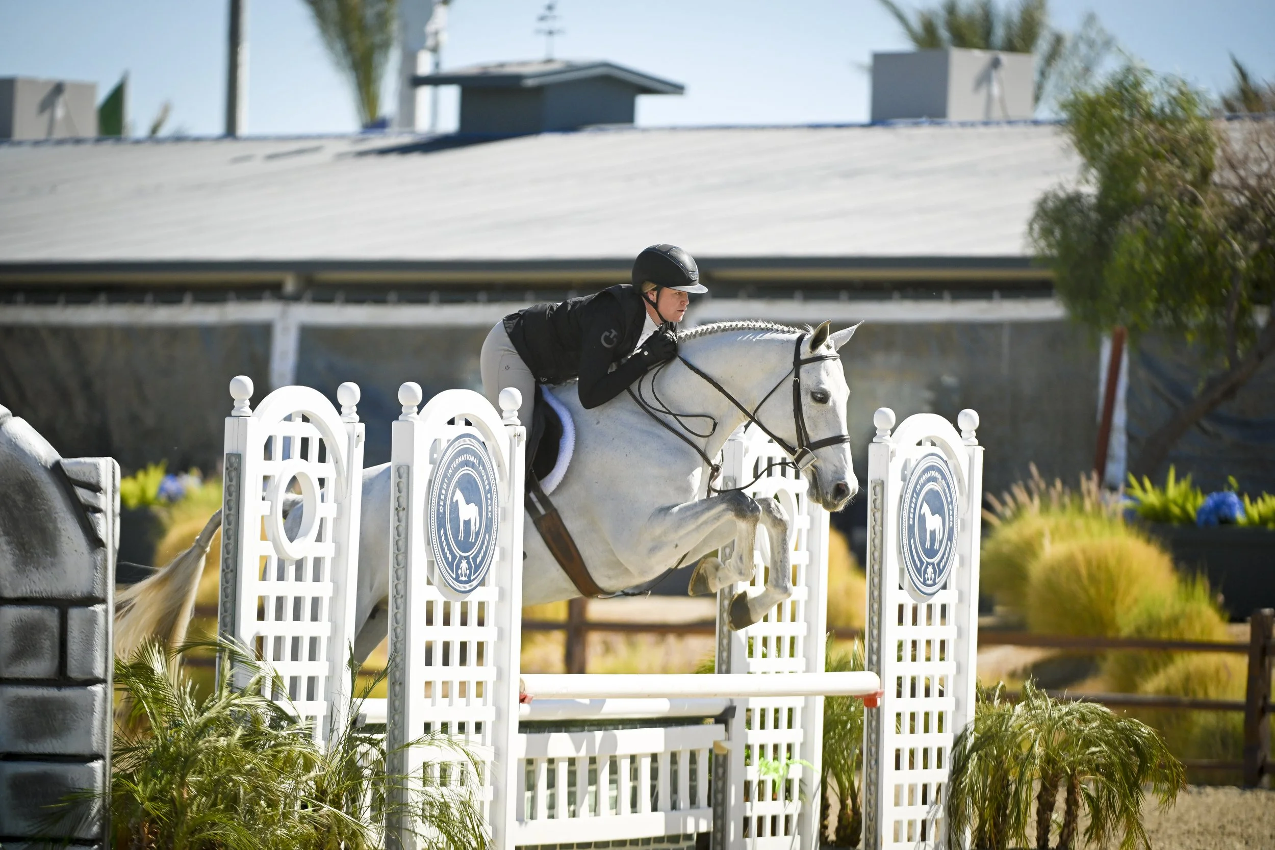 Courtney and Knightlight