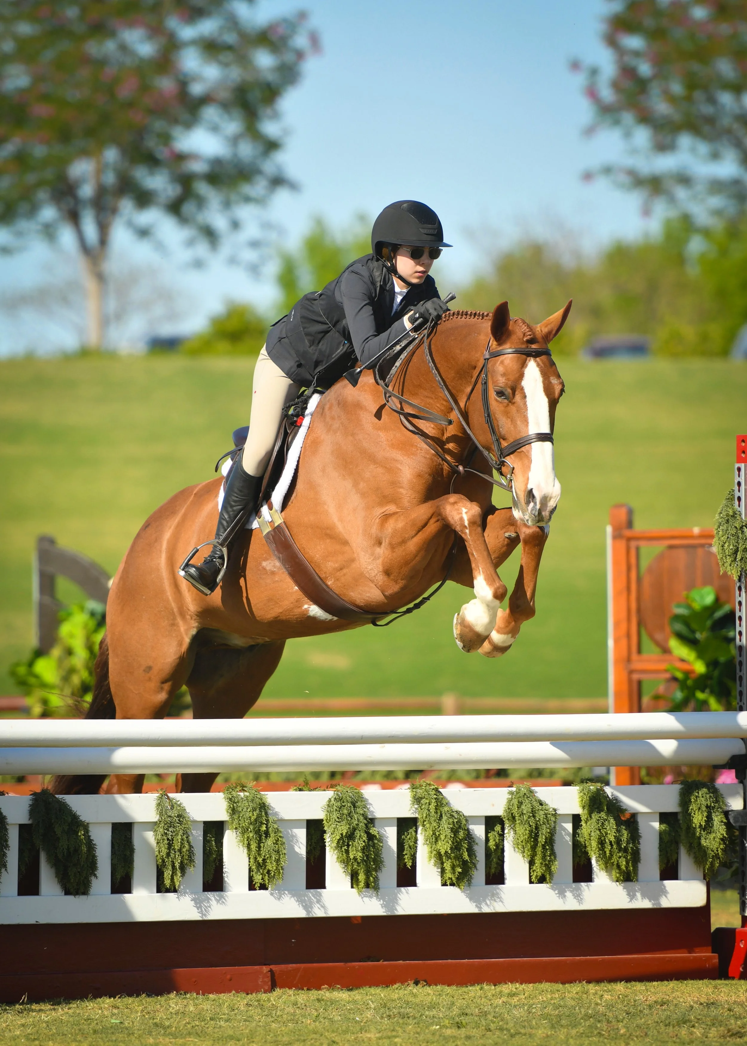 psd-XWC_8360_GrandPix 2.JPG