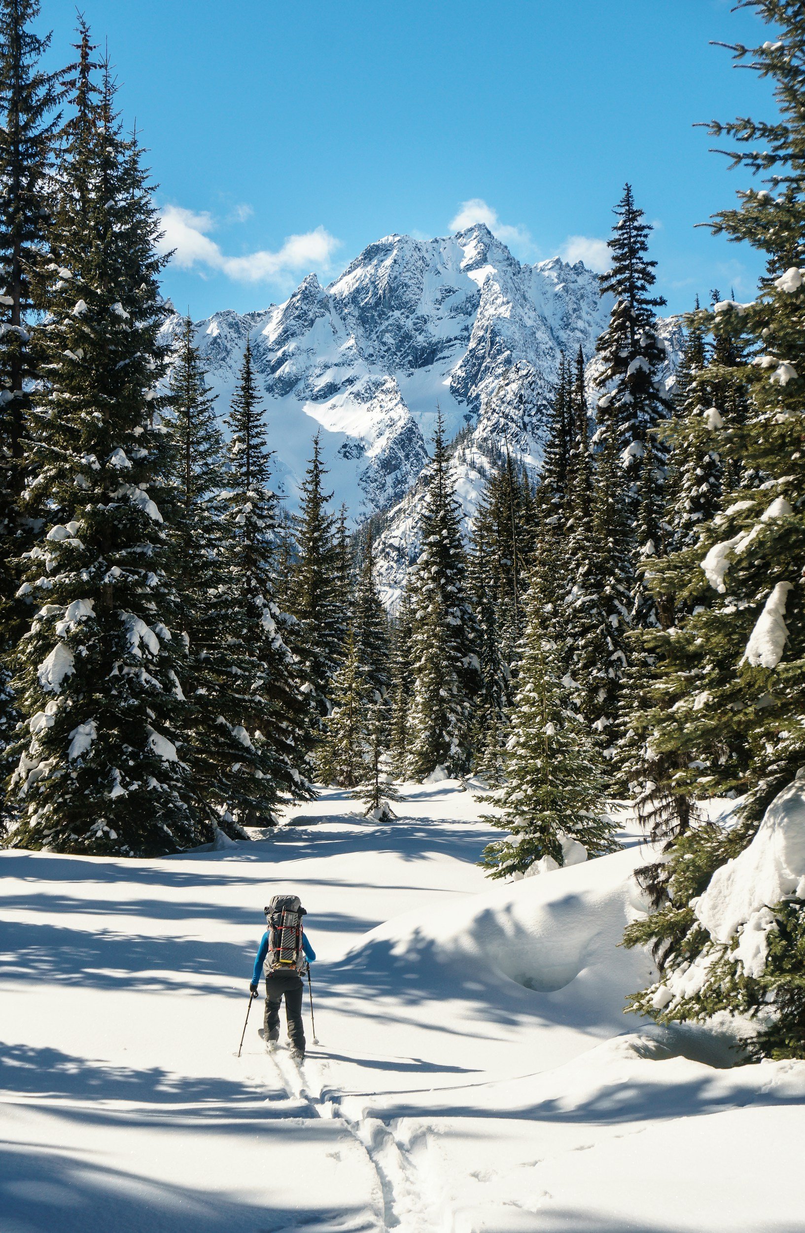 A person snow hiking in a snowy forest with tall pine trees and a snow-covered mountain peak in the background under a blue sky.