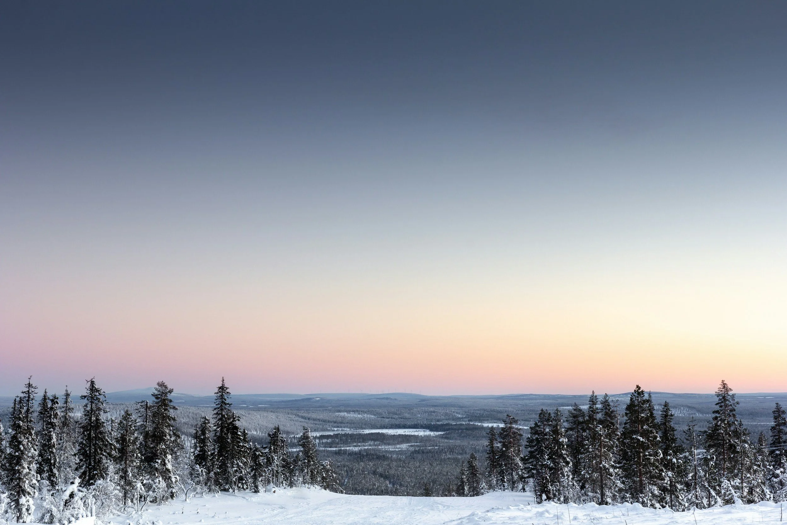 Snow-covered pine forest landscape during sunset with clear sky.