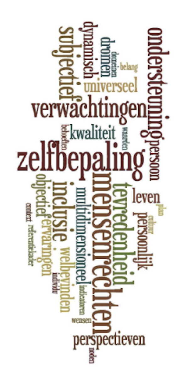 Een woordwolk met woorden zoals 'zelfbepaling', 'verwachtingen', 'perspectieven', 'mededelen', en 'subjecties' in verschillende kleuren en lettergroottes.