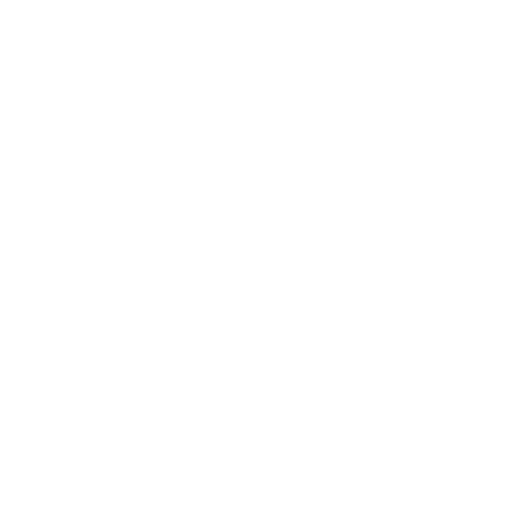 BURBERRY.png
