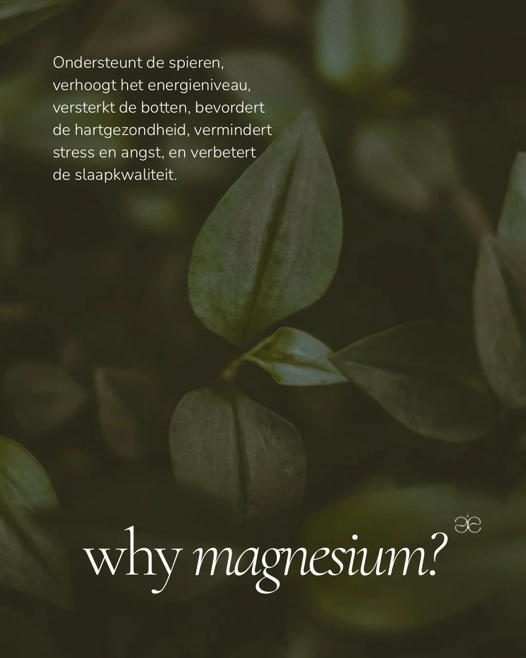 Why Magnesium? 🧠