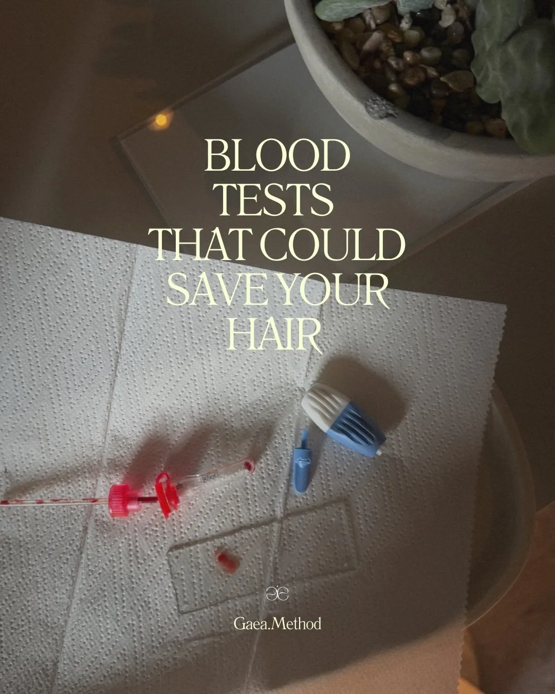 Save this as a reference ✨