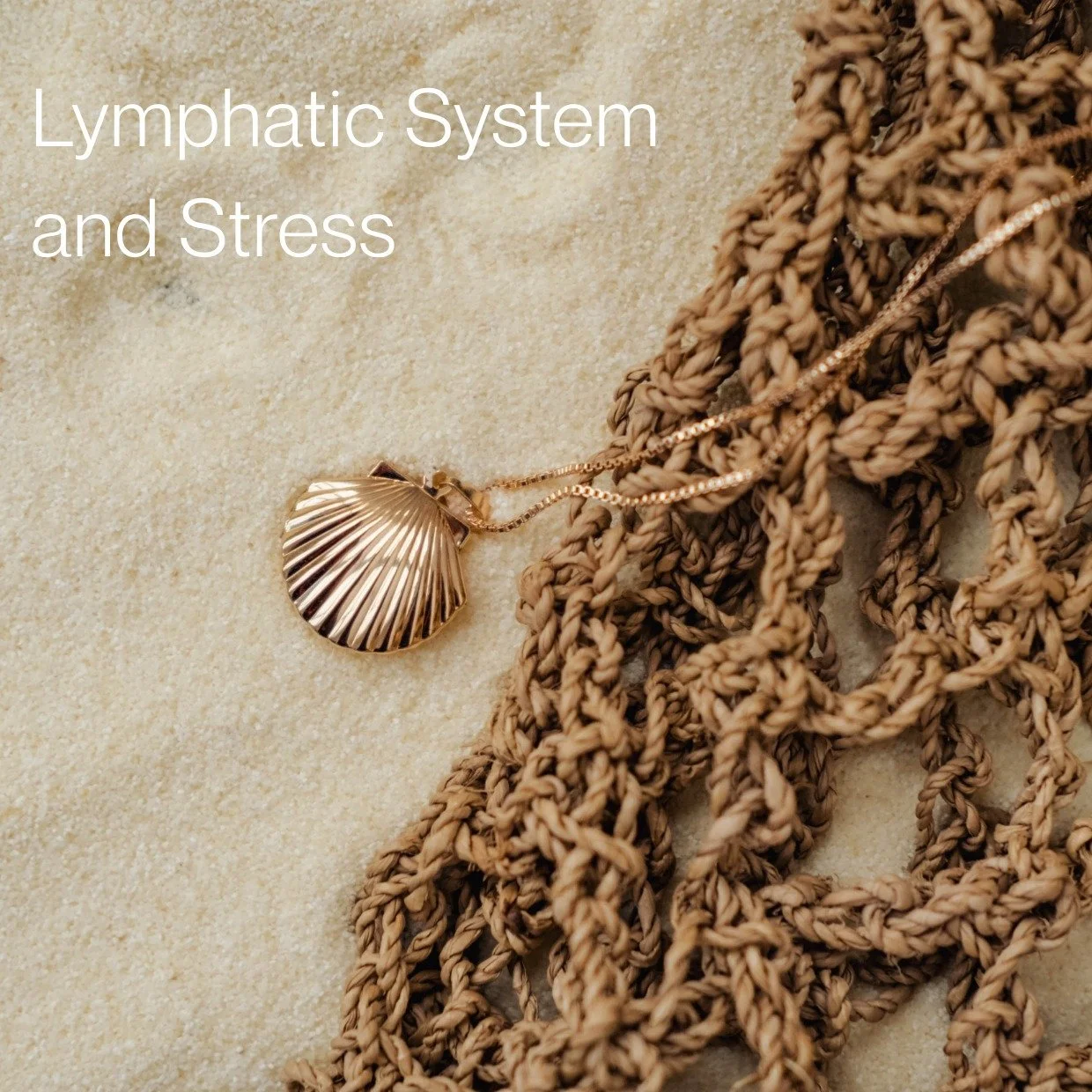 Stress zit niet alleen in je hoofd.
Het zet zich vast in je lichaam.

In je ademhaling.
In je spanning.
In je lymfestroom.

En dat is waarom je je soms:
&ndash; opgeblazen voelt
&ndash; moe blijft
&ndash; brain fog hebt
&ndash; of merkt dat je huid v