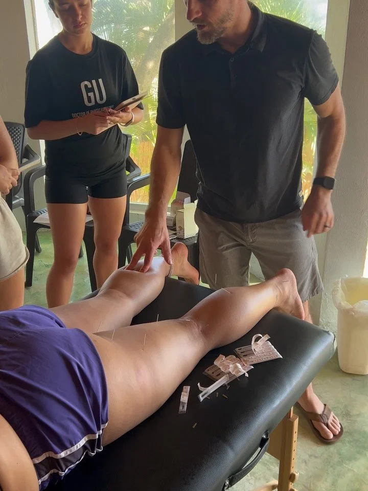 First Toucan Dry Needling training for professionals in Cabarete, Dominican Republic &mdash; learning with an ocean view just hits different. ☀️ 🌊 🌴 A special thank you to @drserafino for sharing your expertise and making this experience possible.