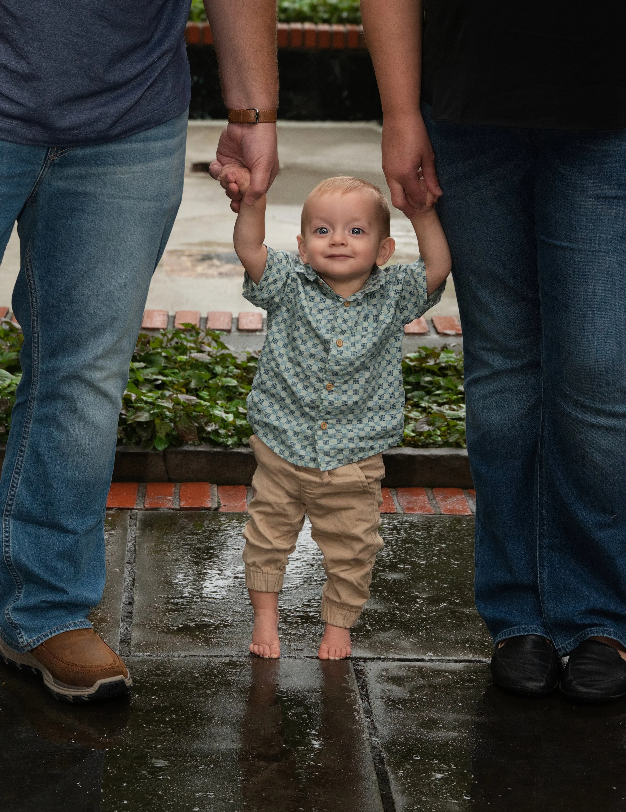 first birthday portrait