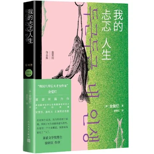 我的忐忑人生：金爱烂作品集