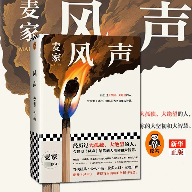 风声：麦家经典力作