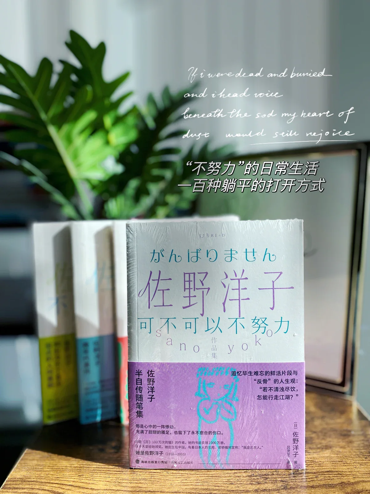 可不可以不努力：佐野洋子作品集