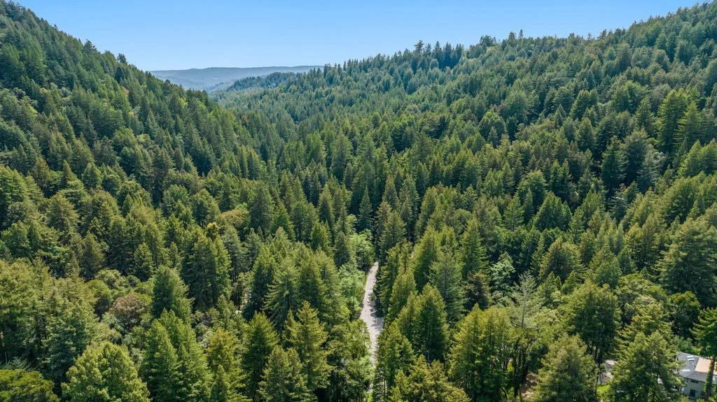 Living in Lompico: A Local’s Guide to Santa Cruz Mountains Living