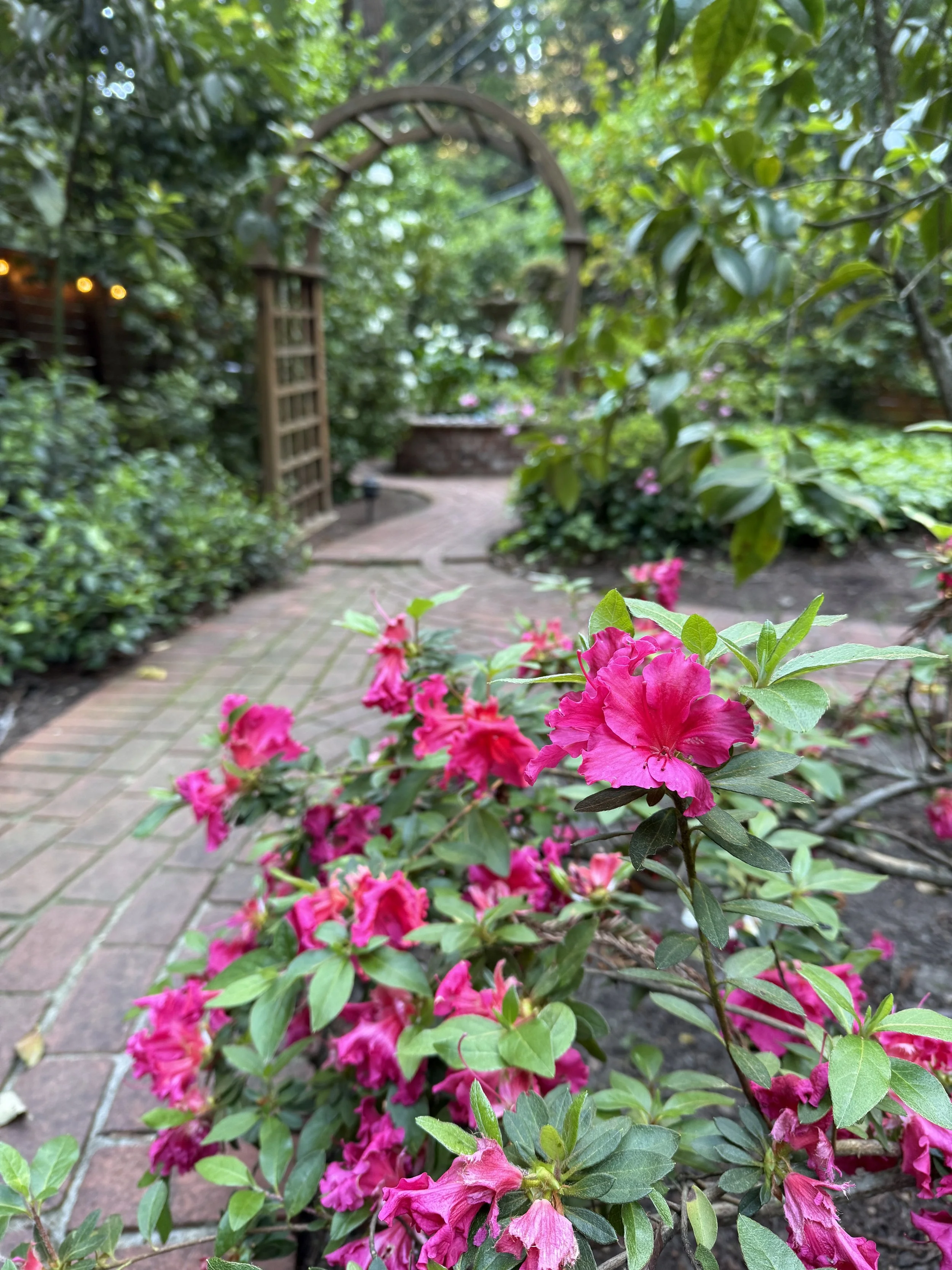 Celebrating Love in the Santa Cruz Mountains: Date Night Ideas for Staying In