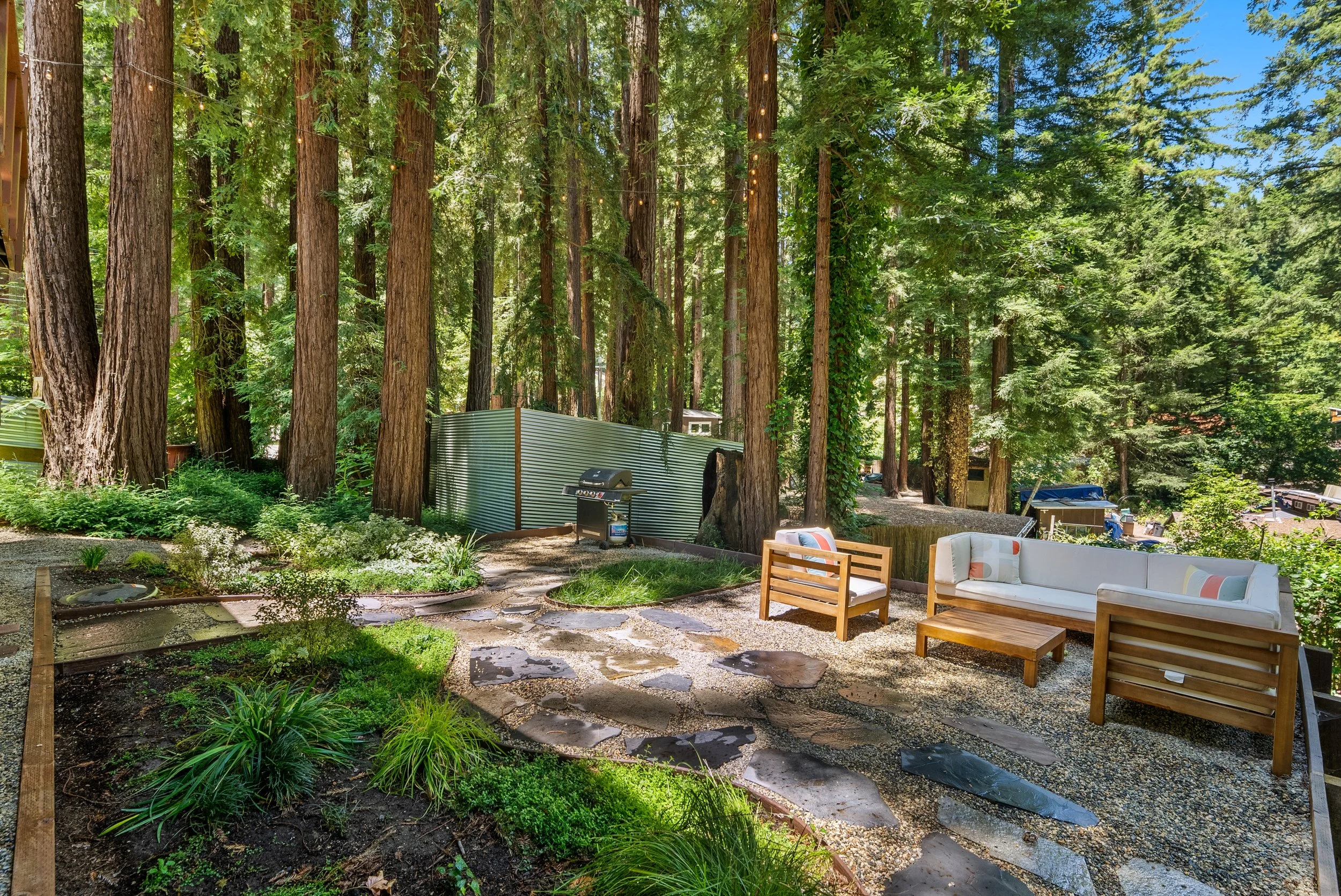 Neighborhoods in the Santa Cruz Mountains with the Best Trees