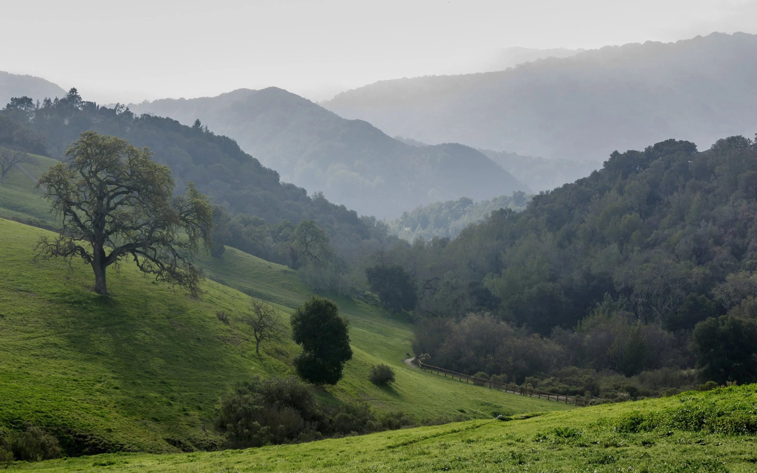 The Santa Cruz Mountains Communities That Surprised Me (In a Good Way)