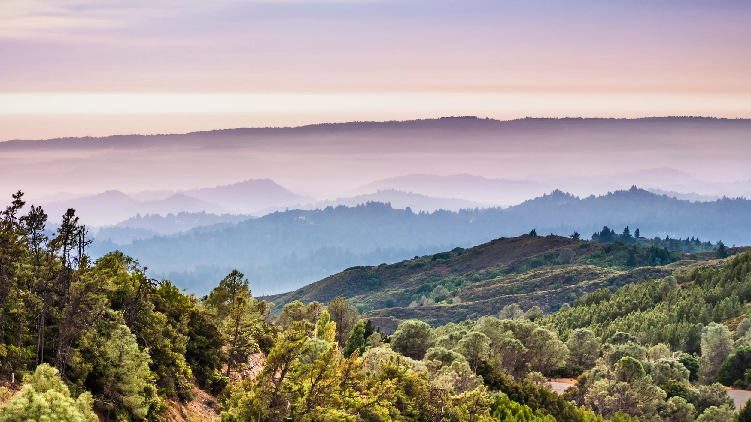 Santa Cruz Mountains Neighborhoods: What the Stereotypes Get Right, Get Wrong, and Get Completely Backwards