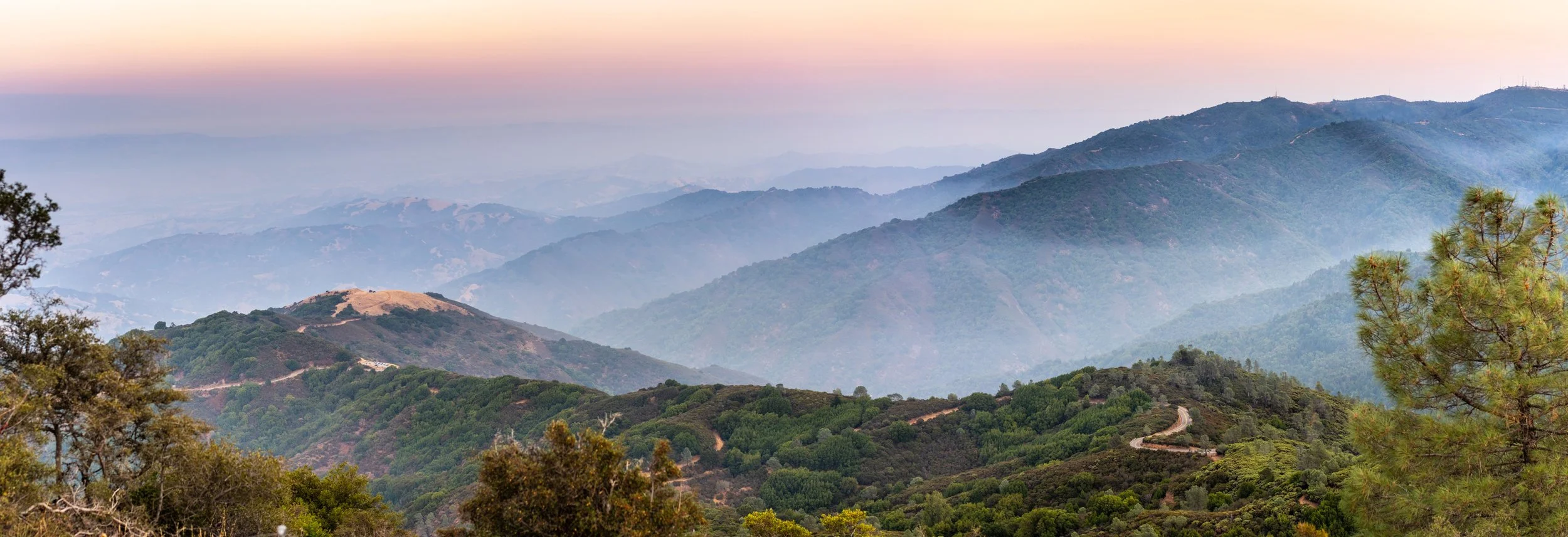 What It's Actually Like to Live in the Santa Cruz Mountains