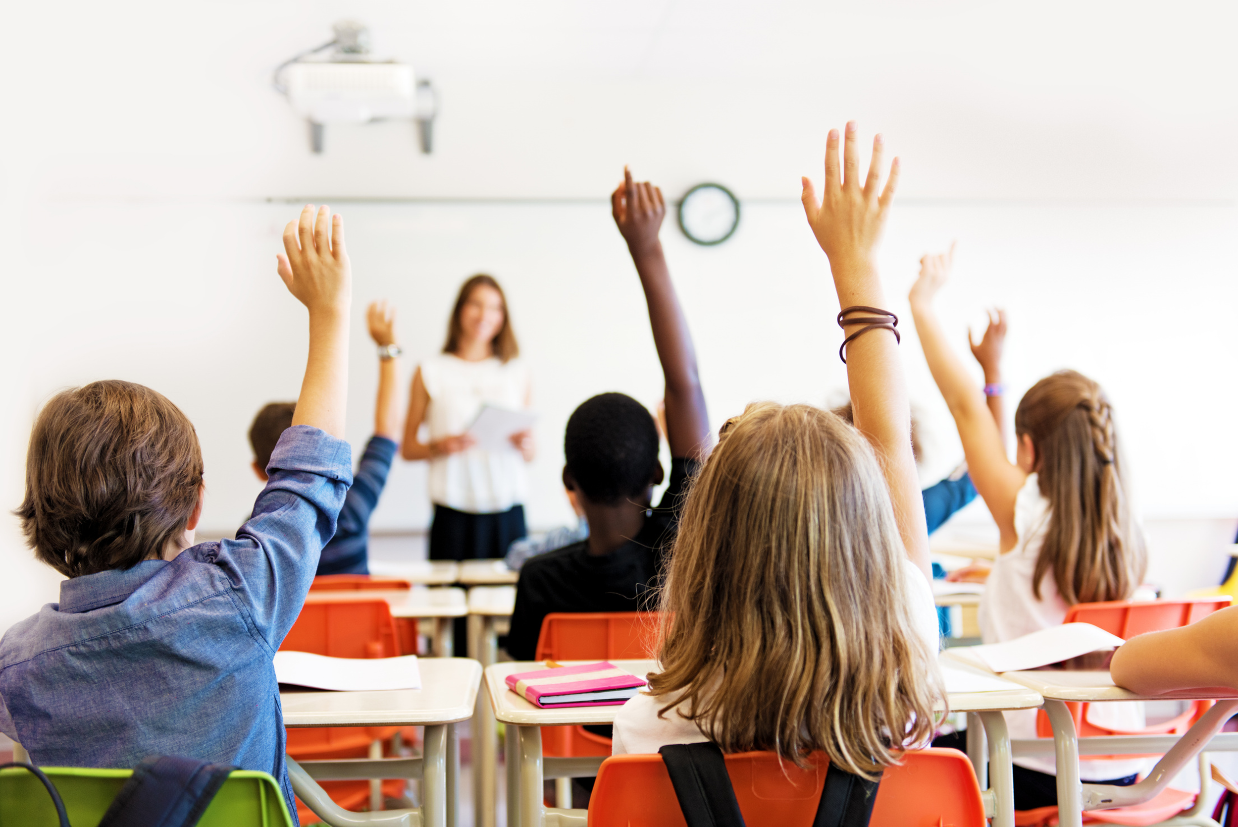Schools in the Santa Cruz Mountains: What Families Should Know