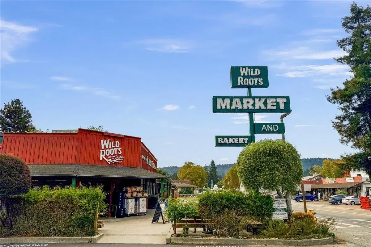 A Guide to Felton, CA: What Buyers Should Know Before They Move