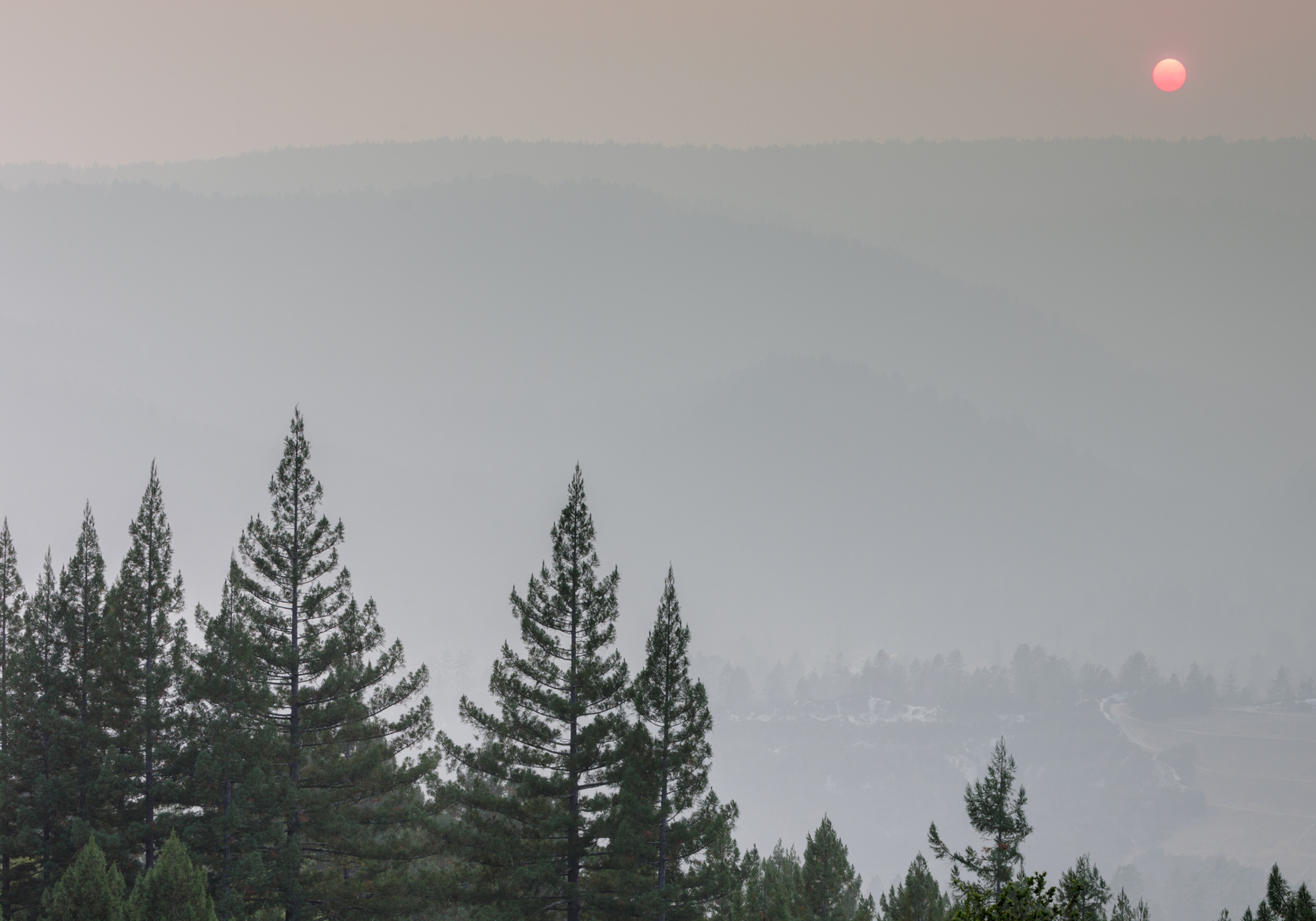 Wildfire Insurance in the Santa Cruz Mountains: A 2026 Homeowner's Guide