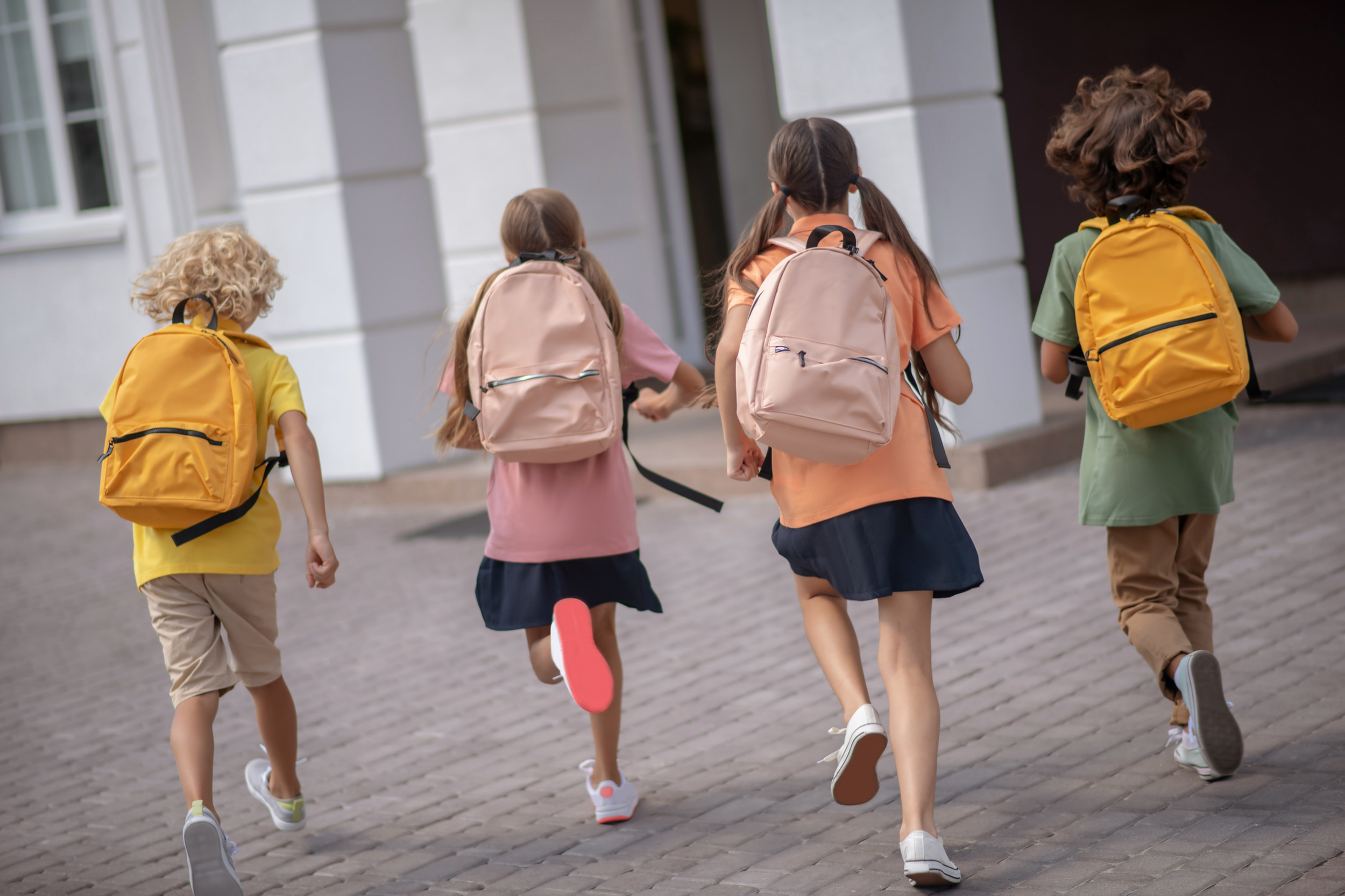 Schools in the Santa Cruz Mountains: A Guide for Families