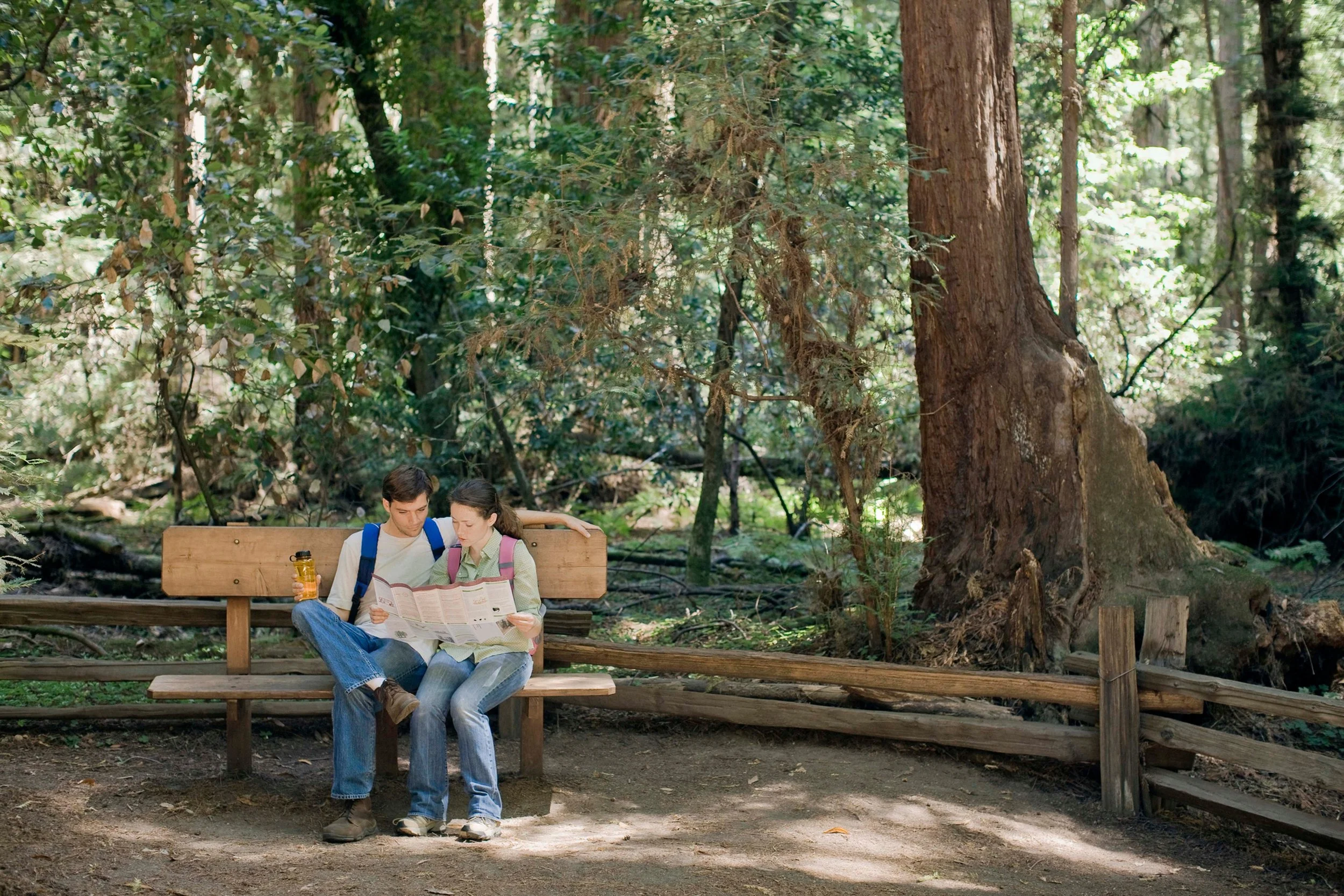 Things to Do in the Santa Cruz Mountains: A Local's Guide