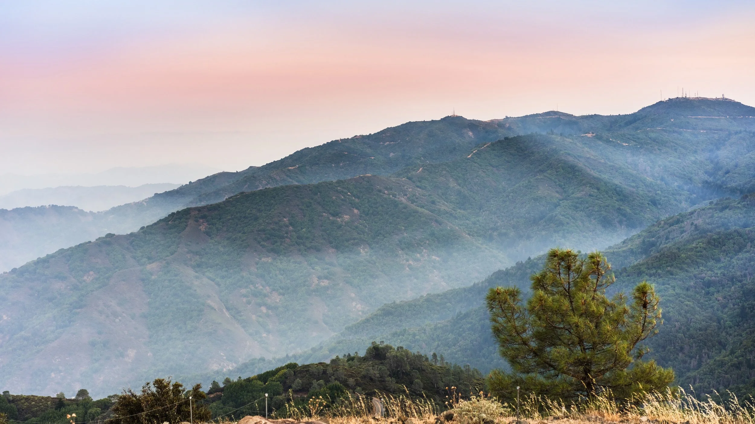 Scotts Valley or San Lorenzo Valley? Here's How to Think Through the Choice.