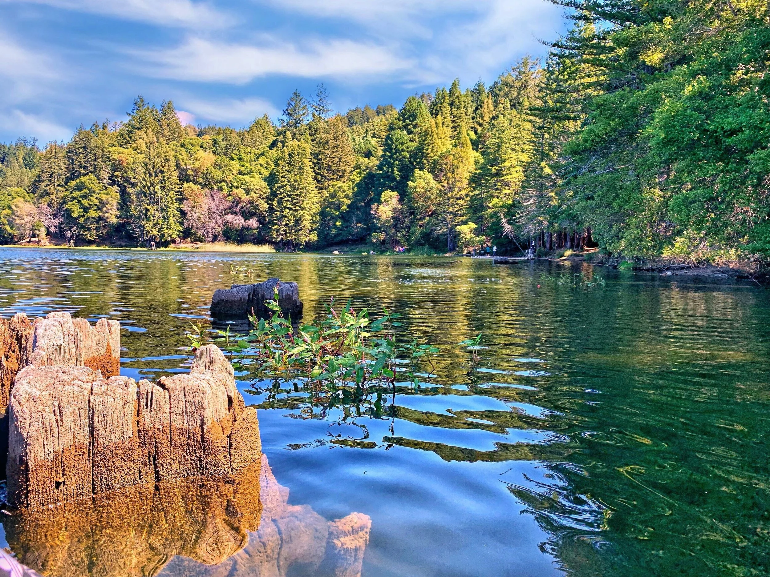 Well, Mutual, or Municipal: Understanding Water in Ben Lomond